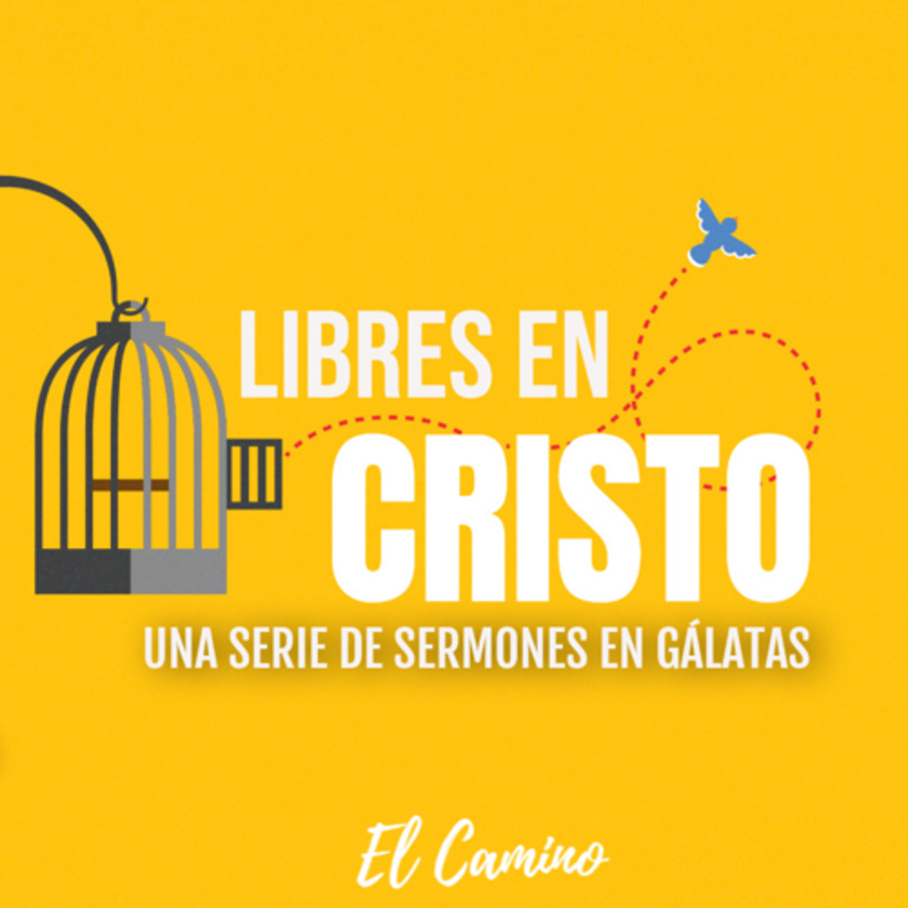 El Testimonió de un Hombre Transformado | Gálatas 1:11-24 | Miércoles 8 de Diciembre de 2021. episode artwork