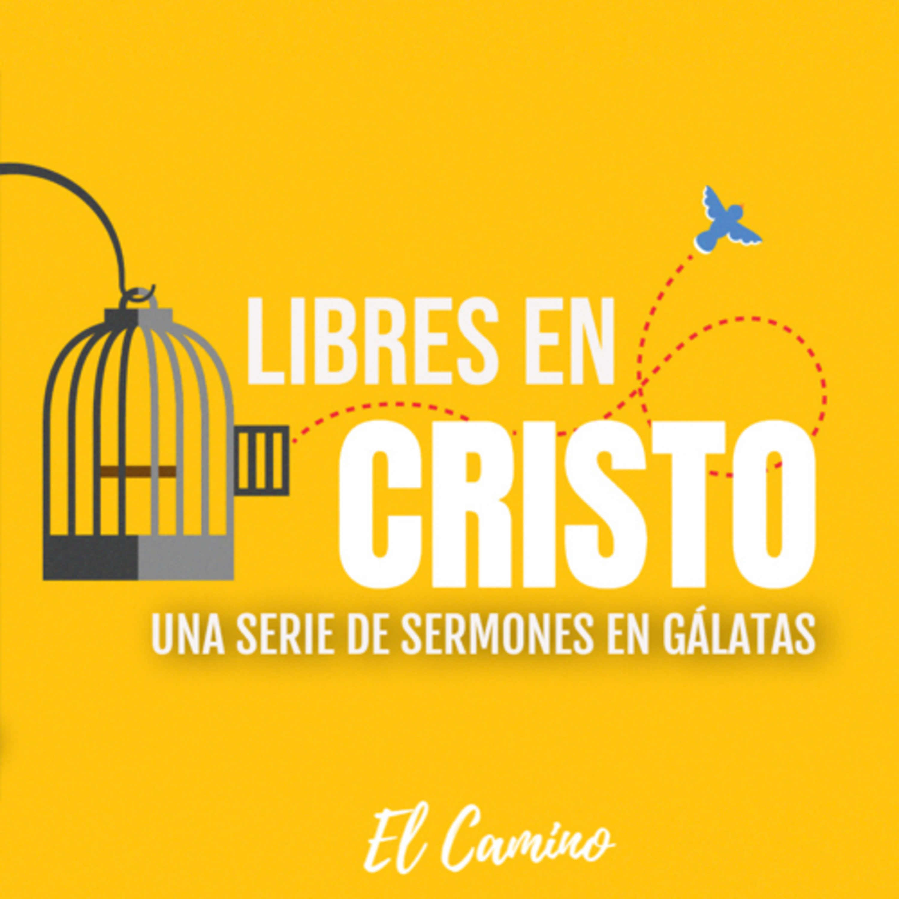 Siéntese con aquellos que necesiten Gracia | Gálatas 2:11-16 | Miércoles 15 de Diciembre de 2021 episode artwork