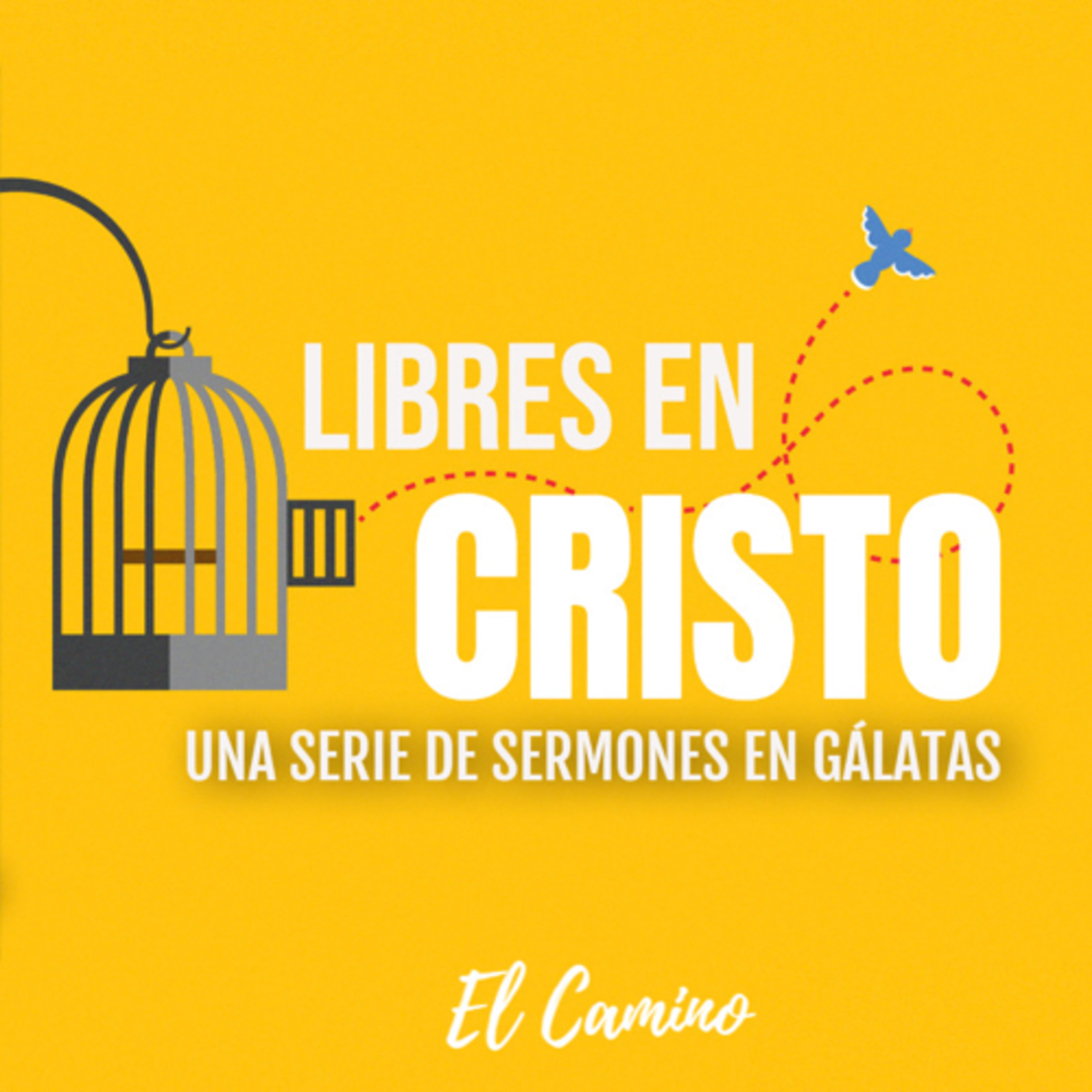 Justificados por Fe | Galatas 2:15-16 | Miercoles 12 de Enero de 2022 episode artwork
