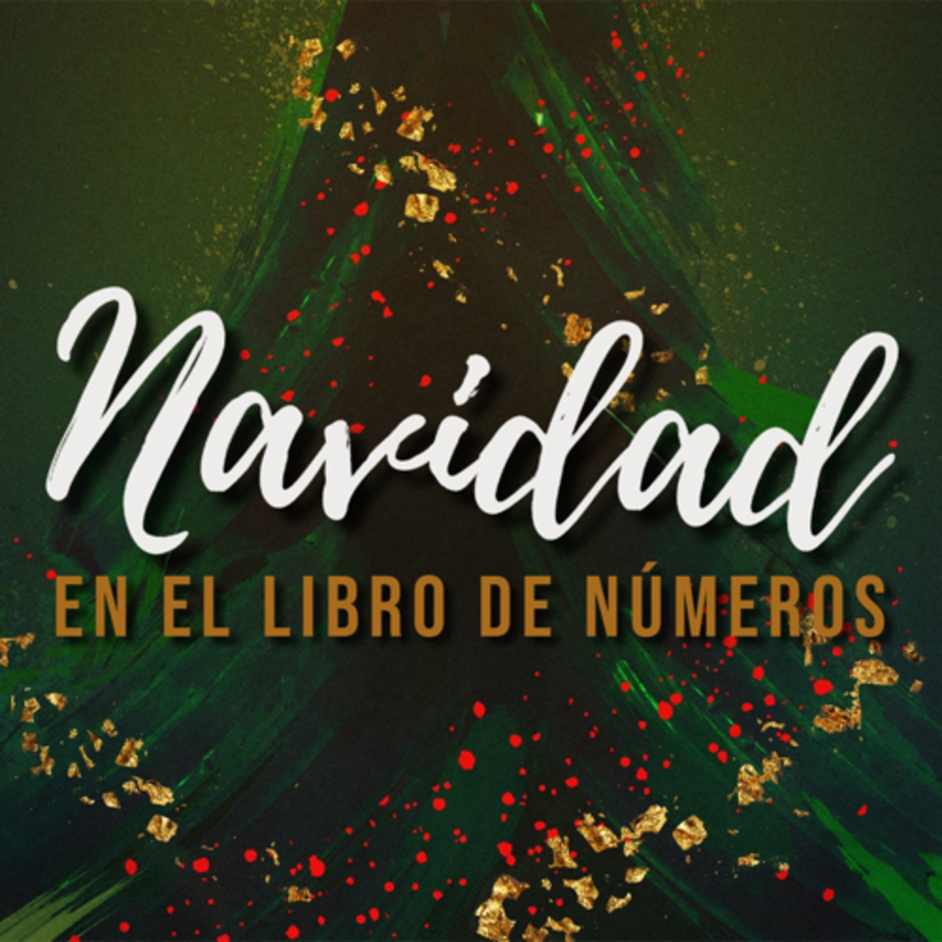 El Otro Burrito de la Navidad | Numeros 22-24 | Domingo 17 de Diciembre de 2023 episode artwork