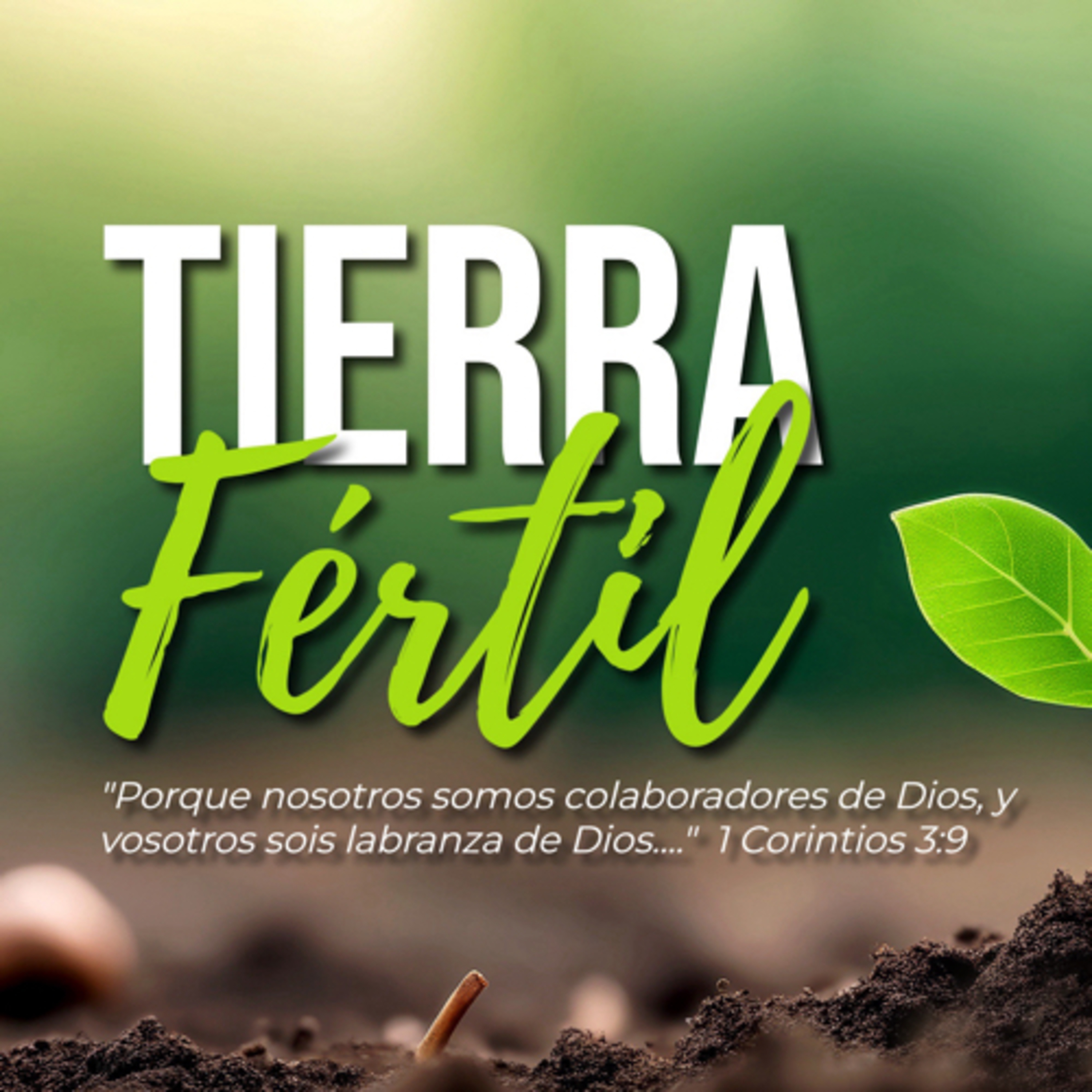 Tierra Fértil | 1 Corintios 3:1-9 | Domingo 14 de 2024 episode artwork