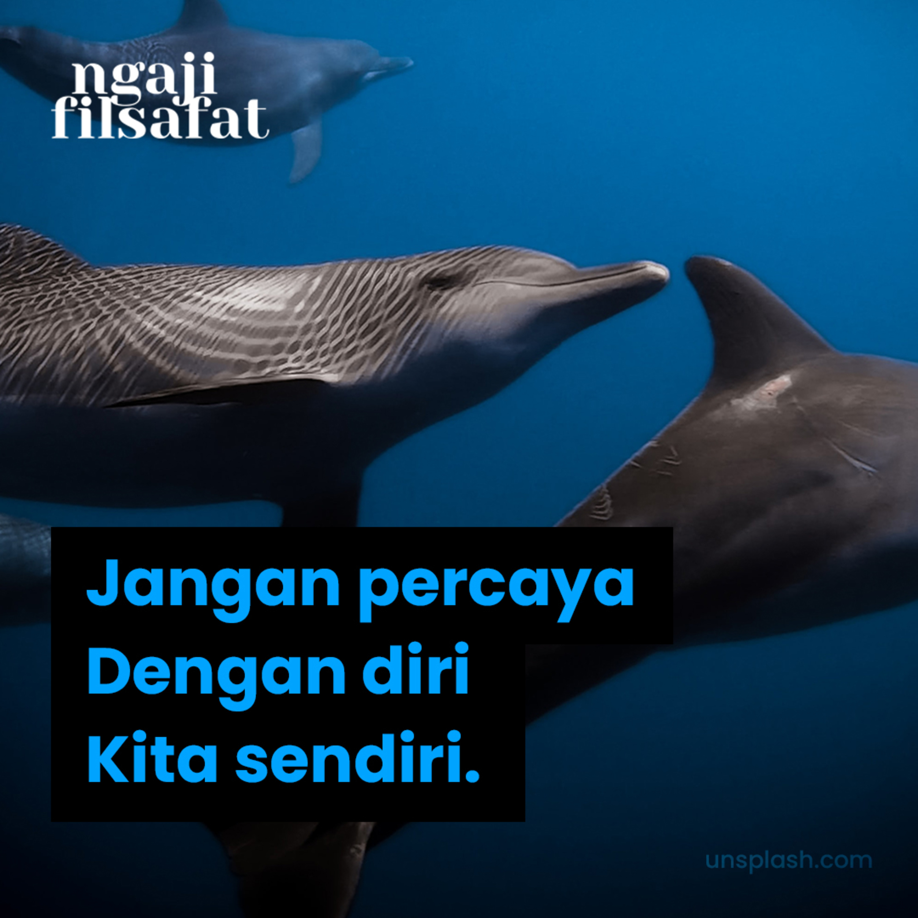 Fahruddin Faiz