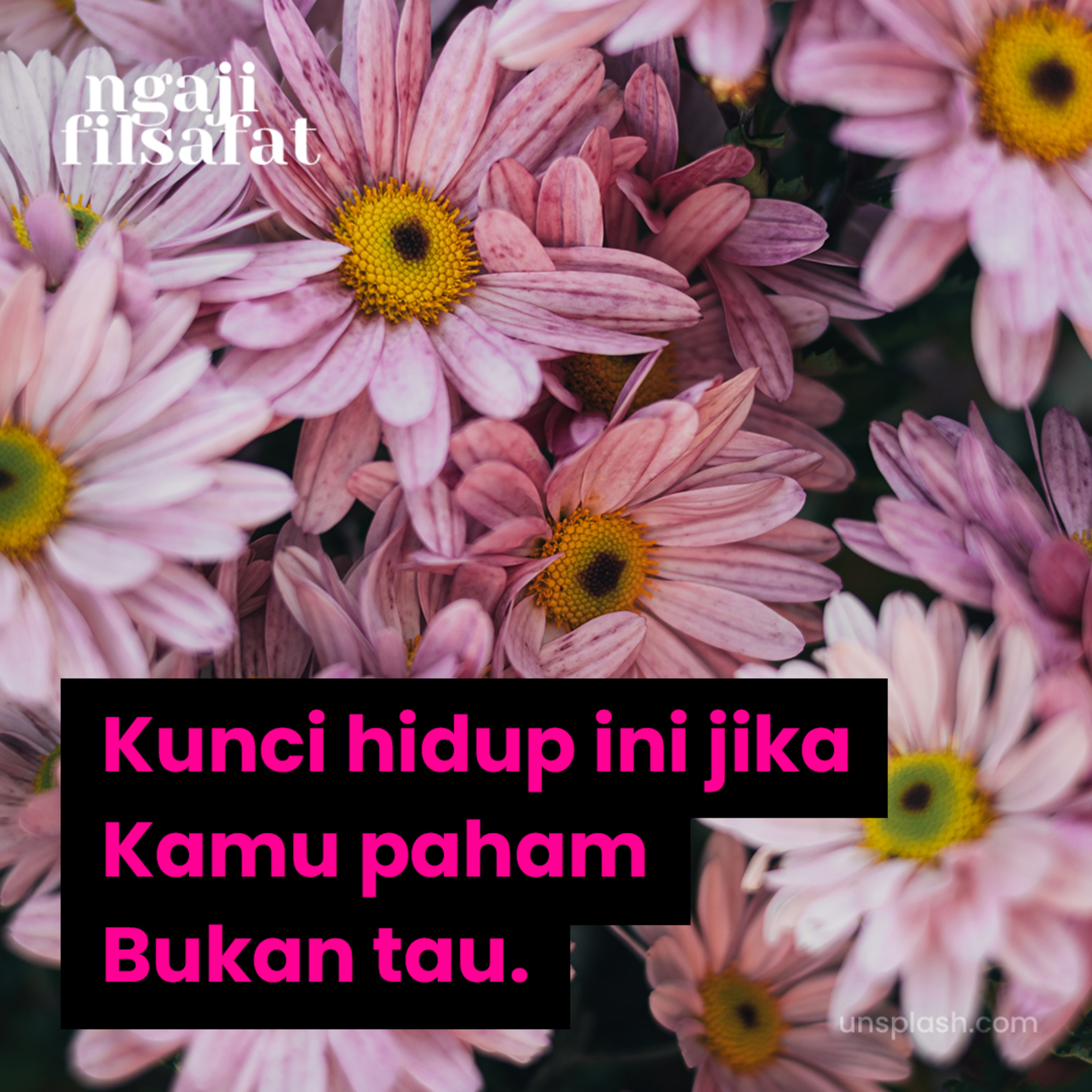 Kunci Hidup ini Jika Kamu Paham Bukan Tau - Ngaji Filsafat - Dr. Fahrudin Faiz episode artwork