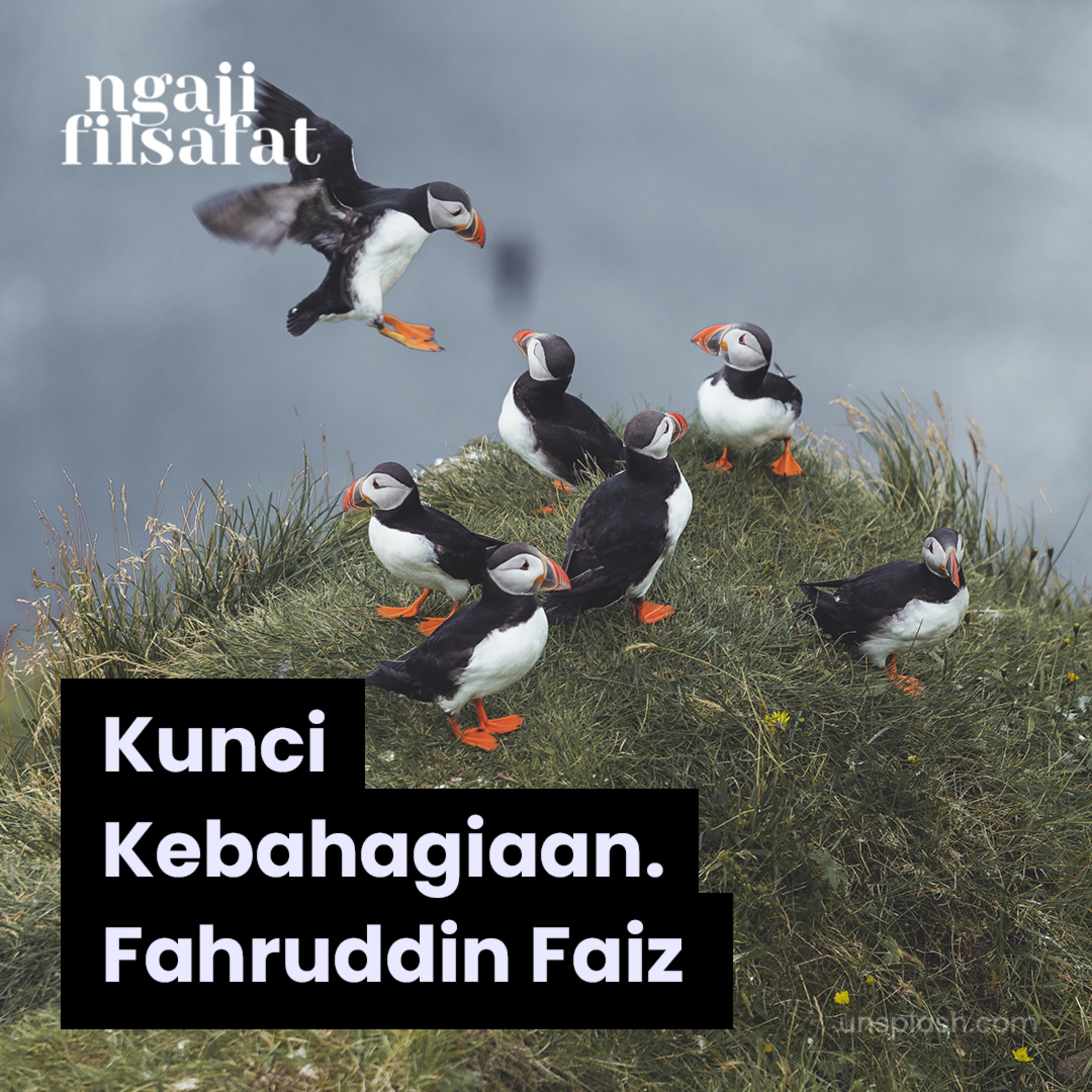 Kunci Kebahagiaani - Ngaji Filsafat - Ust. Dr. Fahrudin Faiz