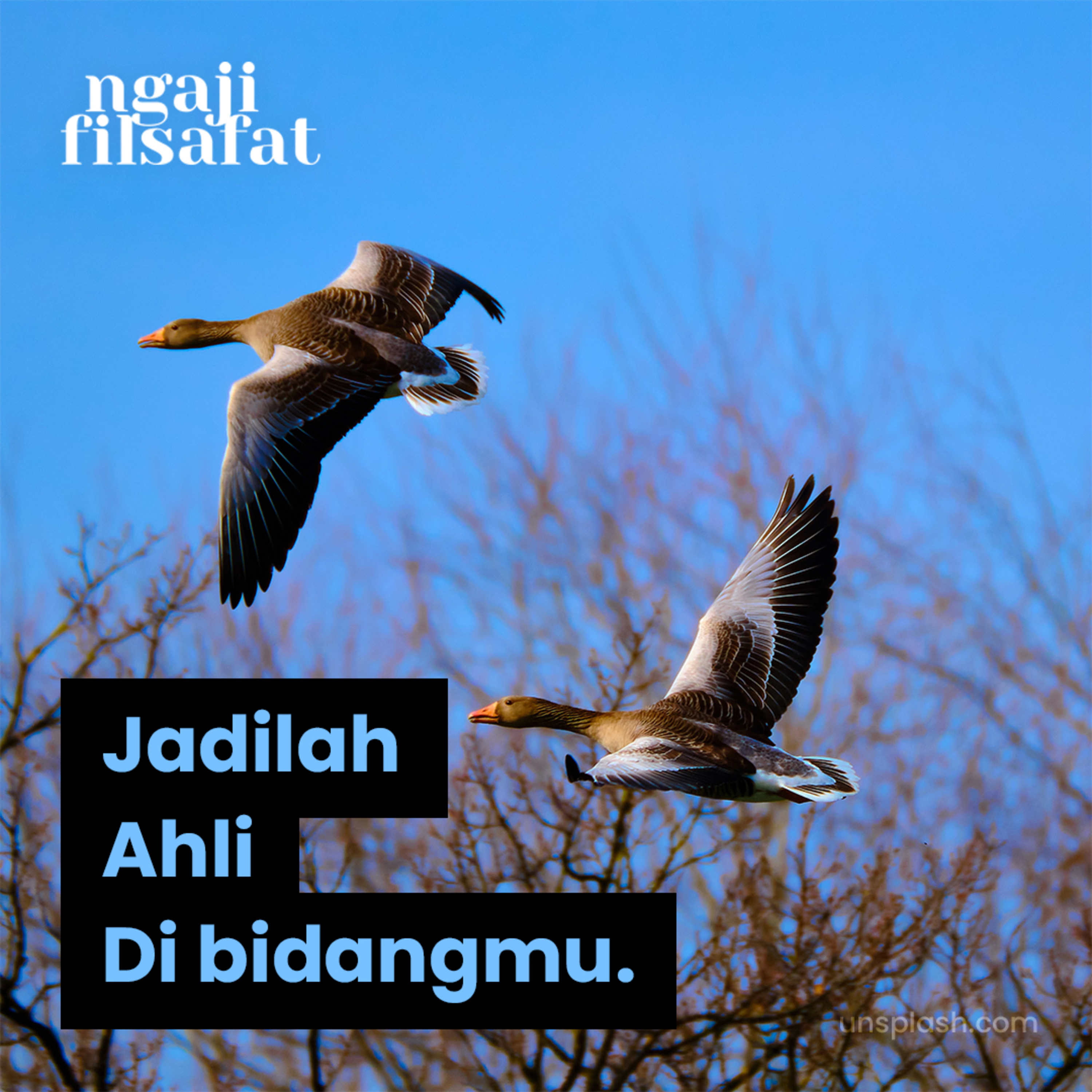 Jadilah Ahli di BidangMu - Ngaji Filsafat - Ust. Dr. Fahrudin Faiz episode artwork