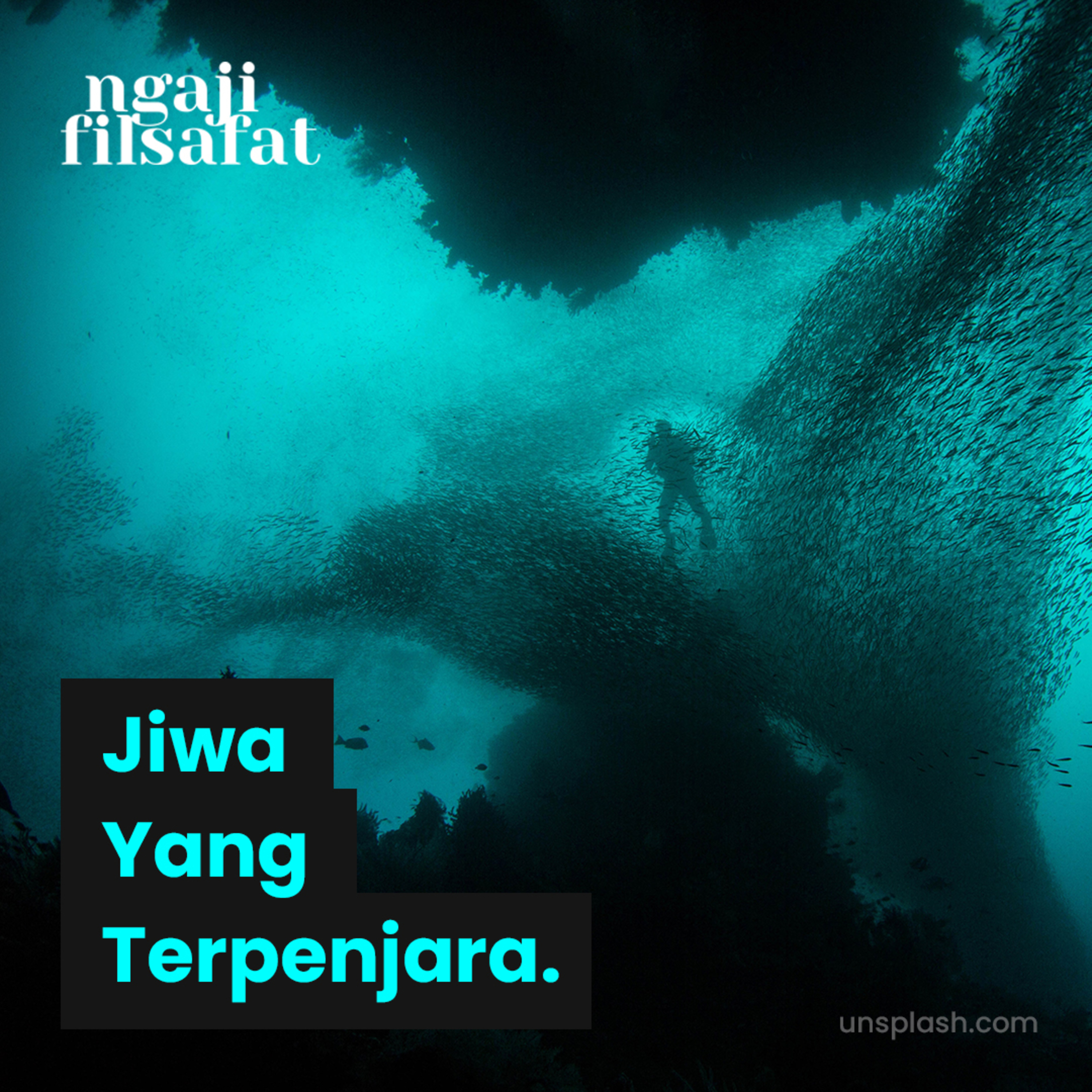 Jiwa Yang Terpenjara - Ngaji Filsafat - Ust. Dr. Fahrudin Faiz episode artwork