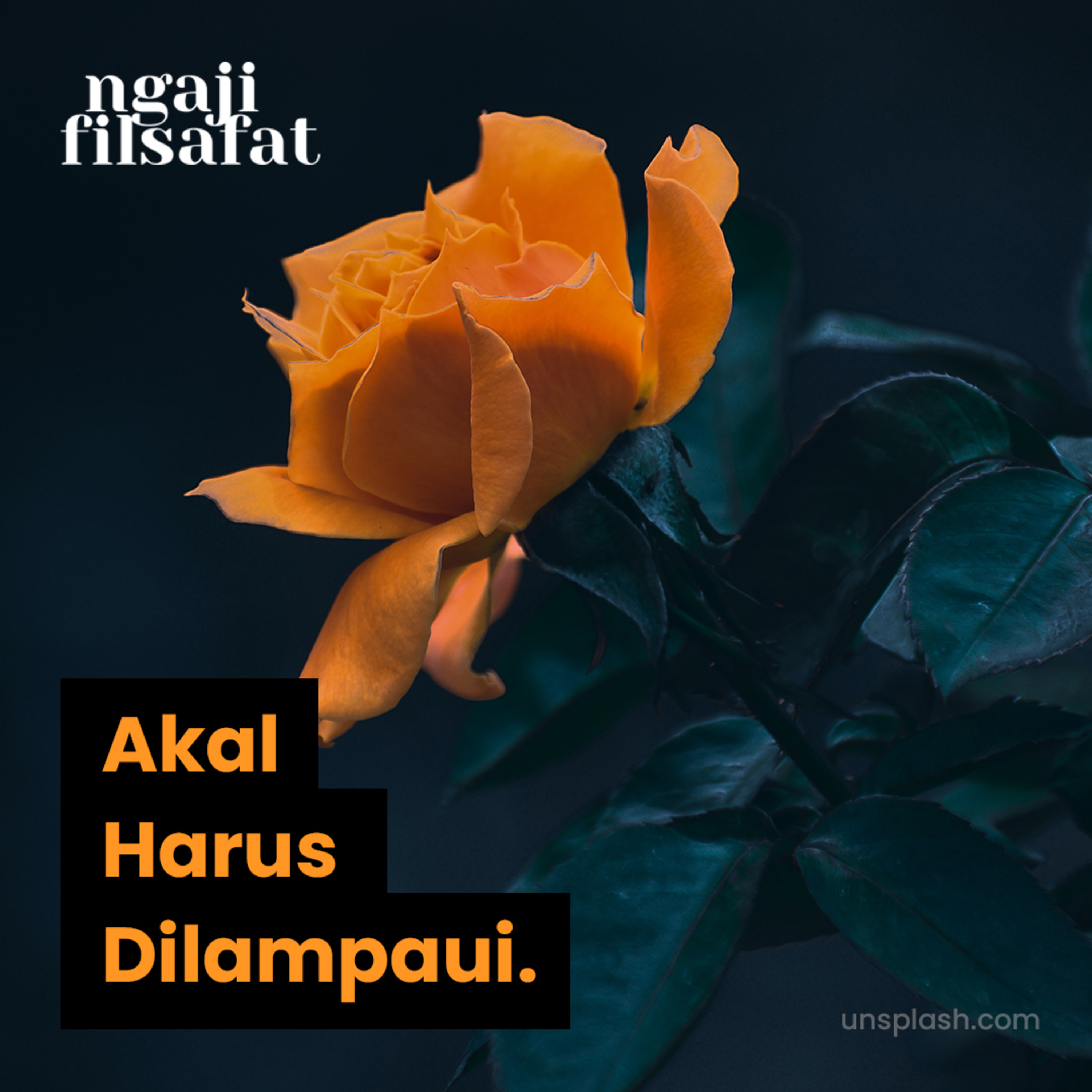 Akal Harus Di Lampaui - Ngaji Filsafat - Dr. Fahruddin Faiz episode artwork