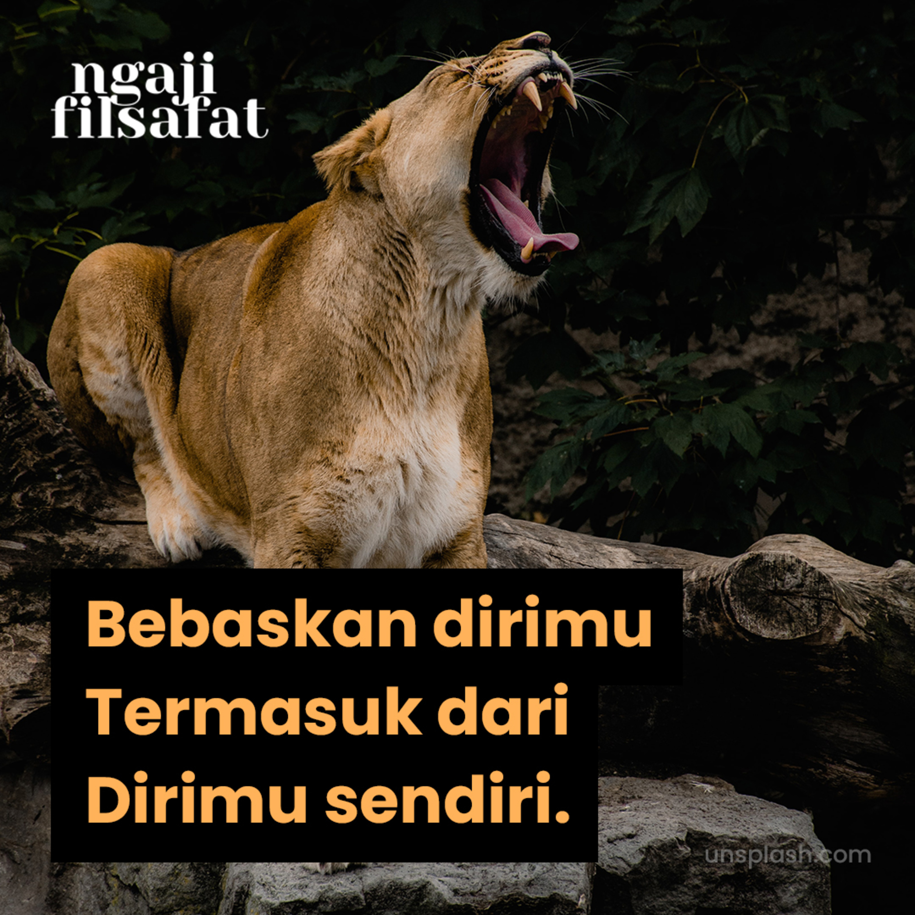 Fahruddin Faiz