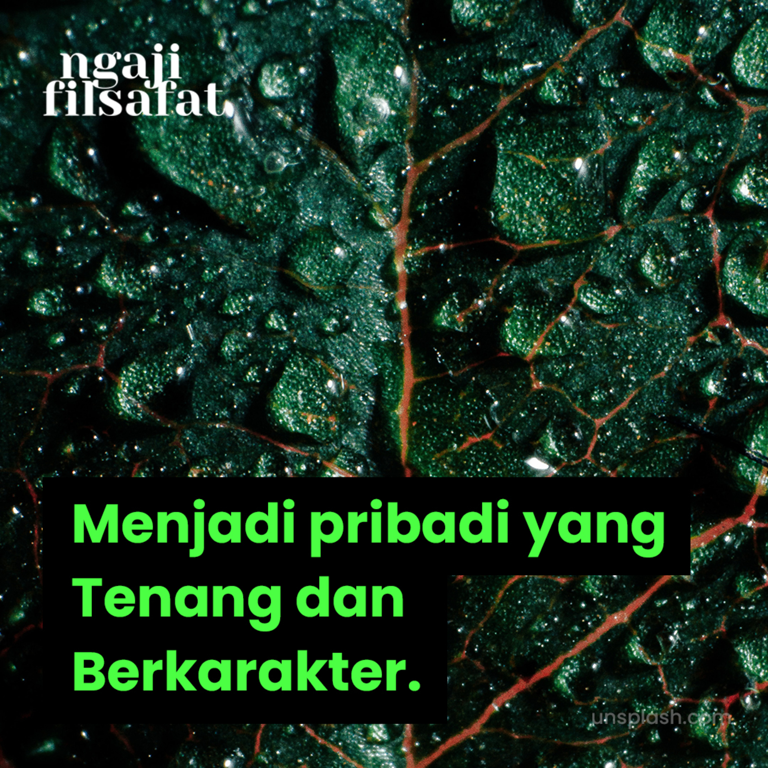 Menjadi Pribadi yang Tenang dan Berkarakter - Dr. Fahrudin Faiz S.Ag M.Ag episode artwork