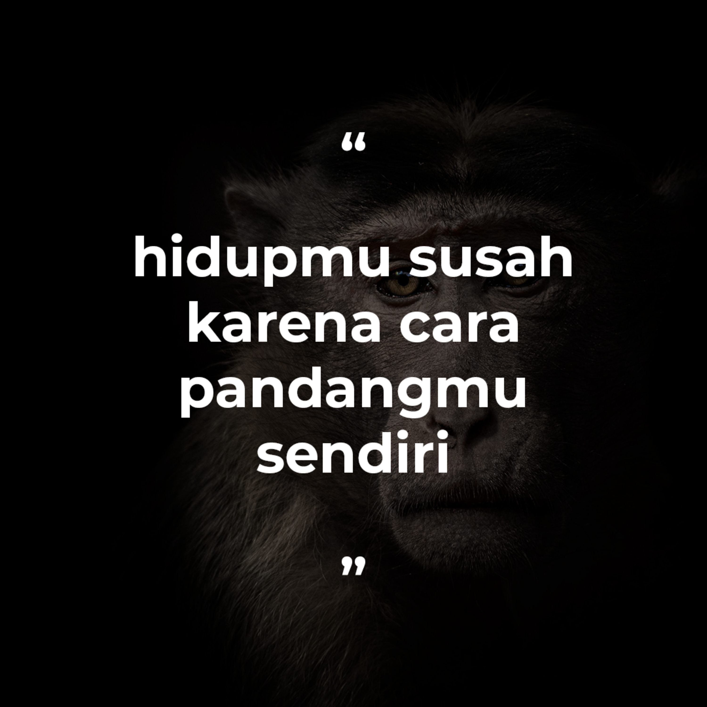Fahruddin Faiz