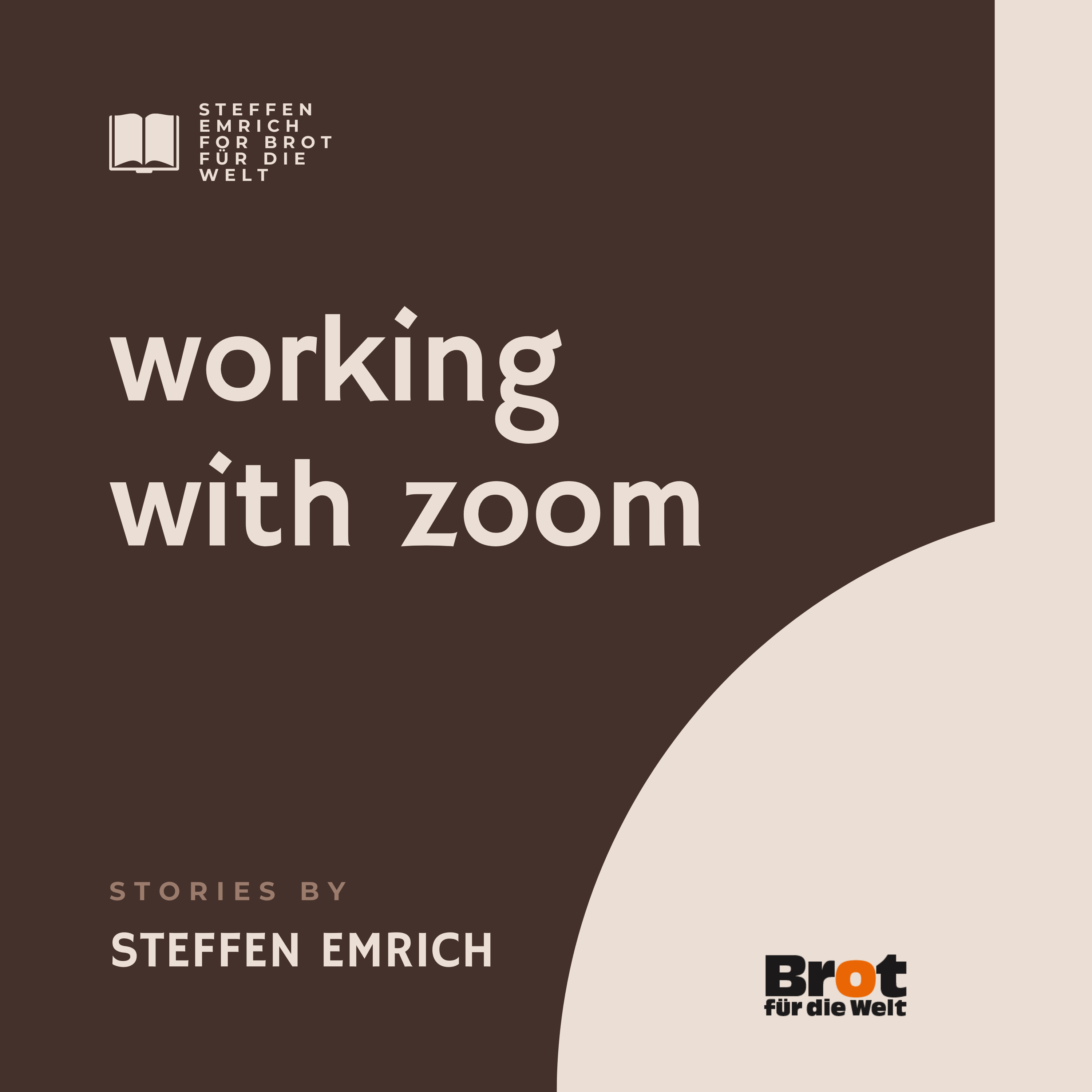 Working online in Civil peace service