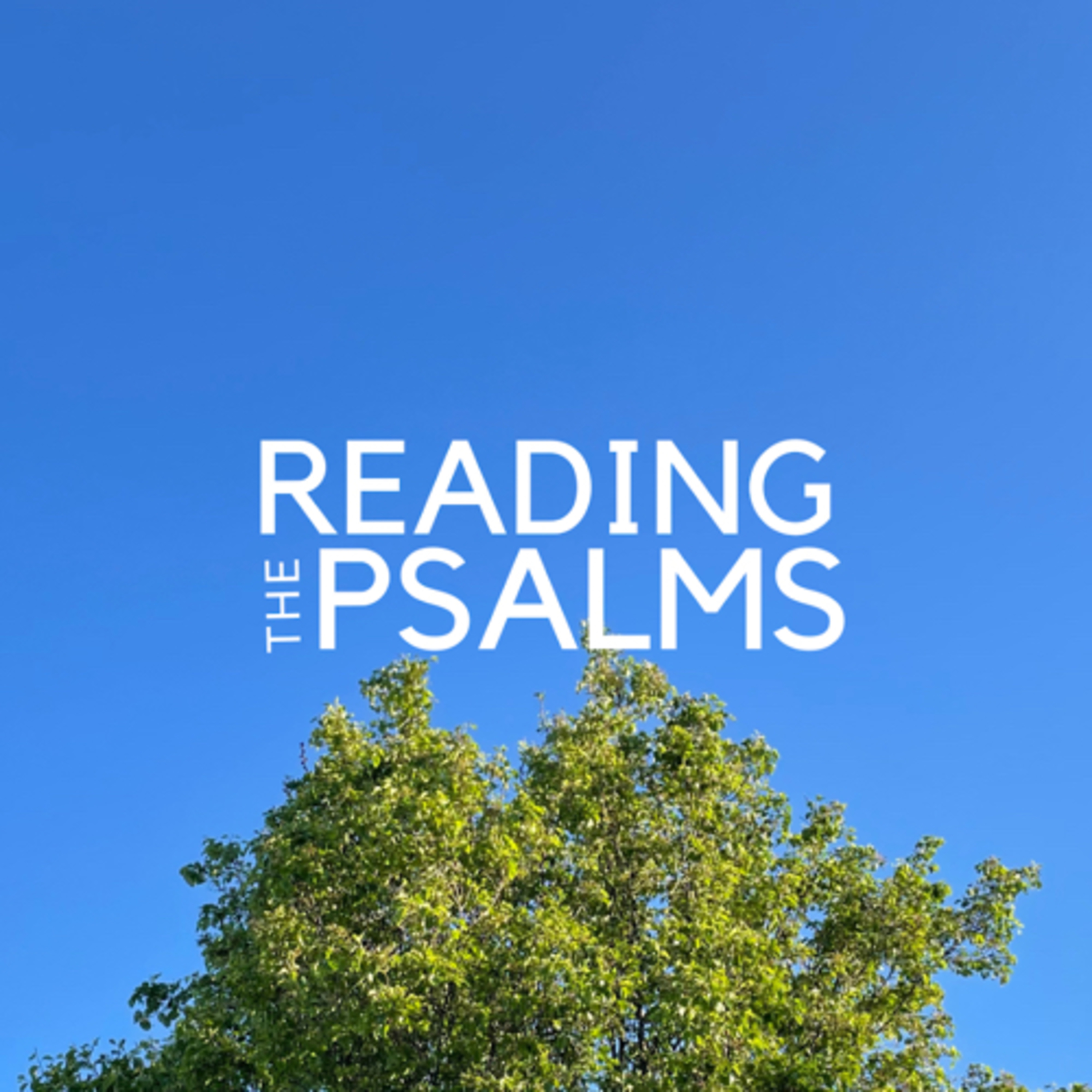 Psalm 49 — Wisdom Answers Anxiety episode artwork
