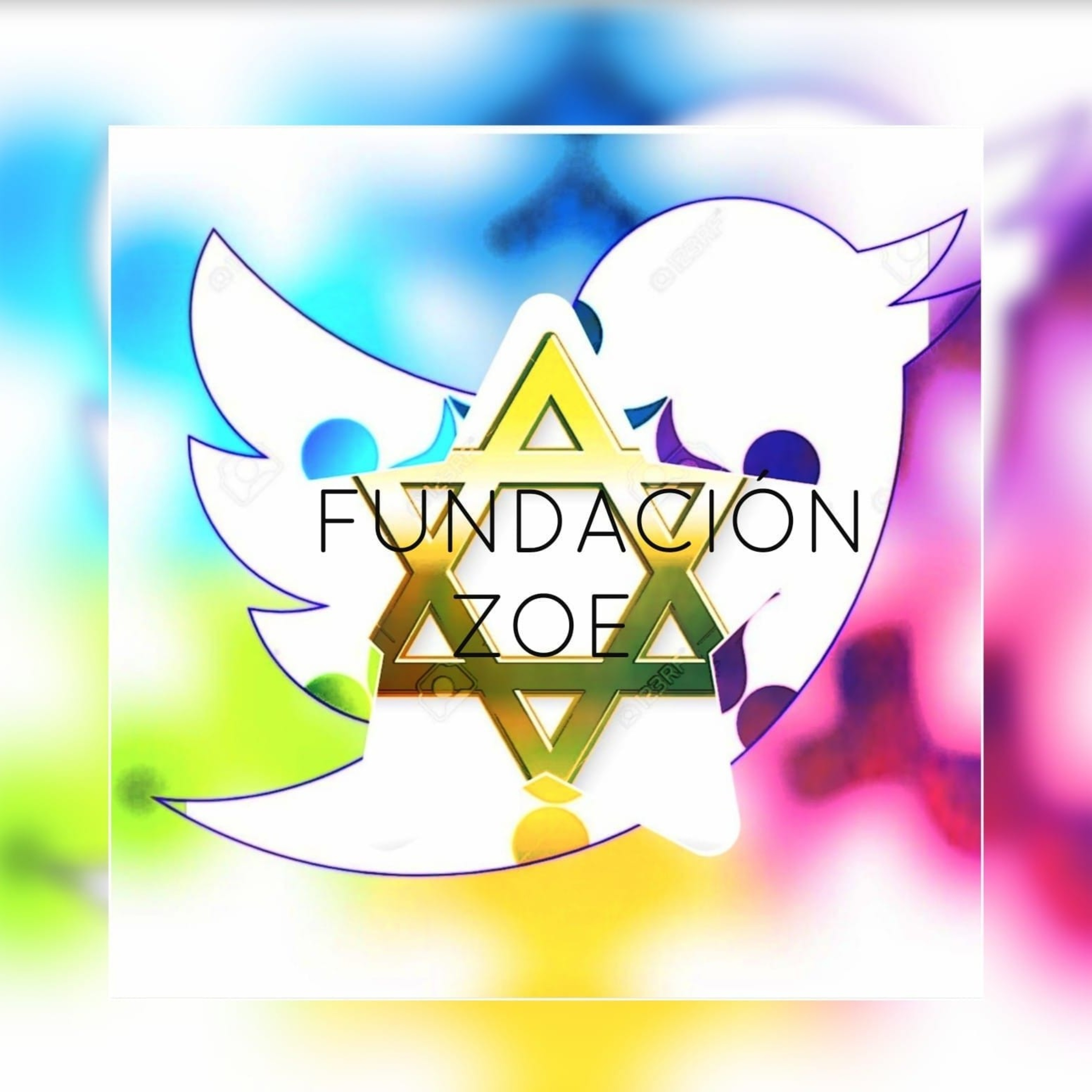 FUNDACIÓN ZOE