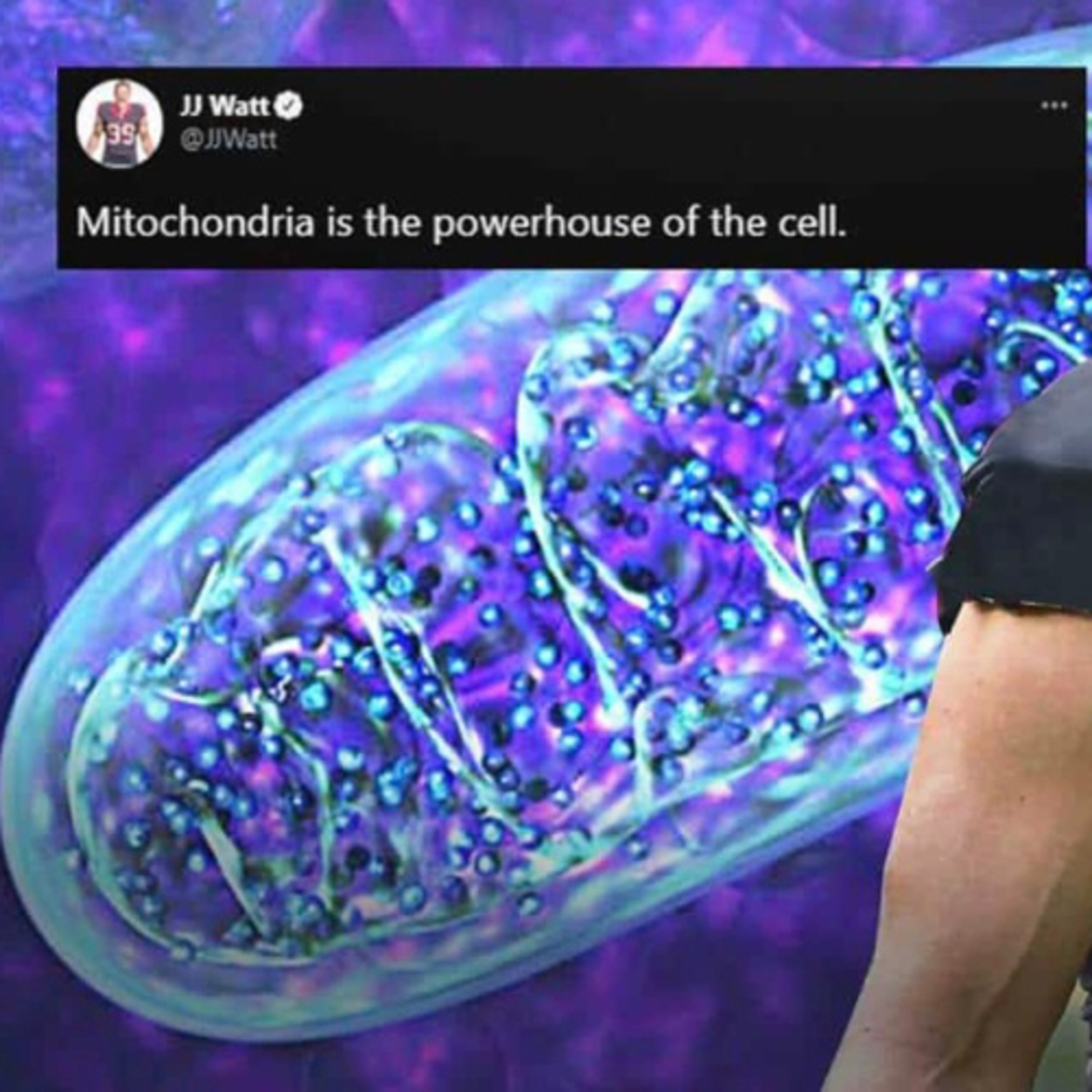 FINDING the TRUE meaning behind JJ WATTS TWEETS