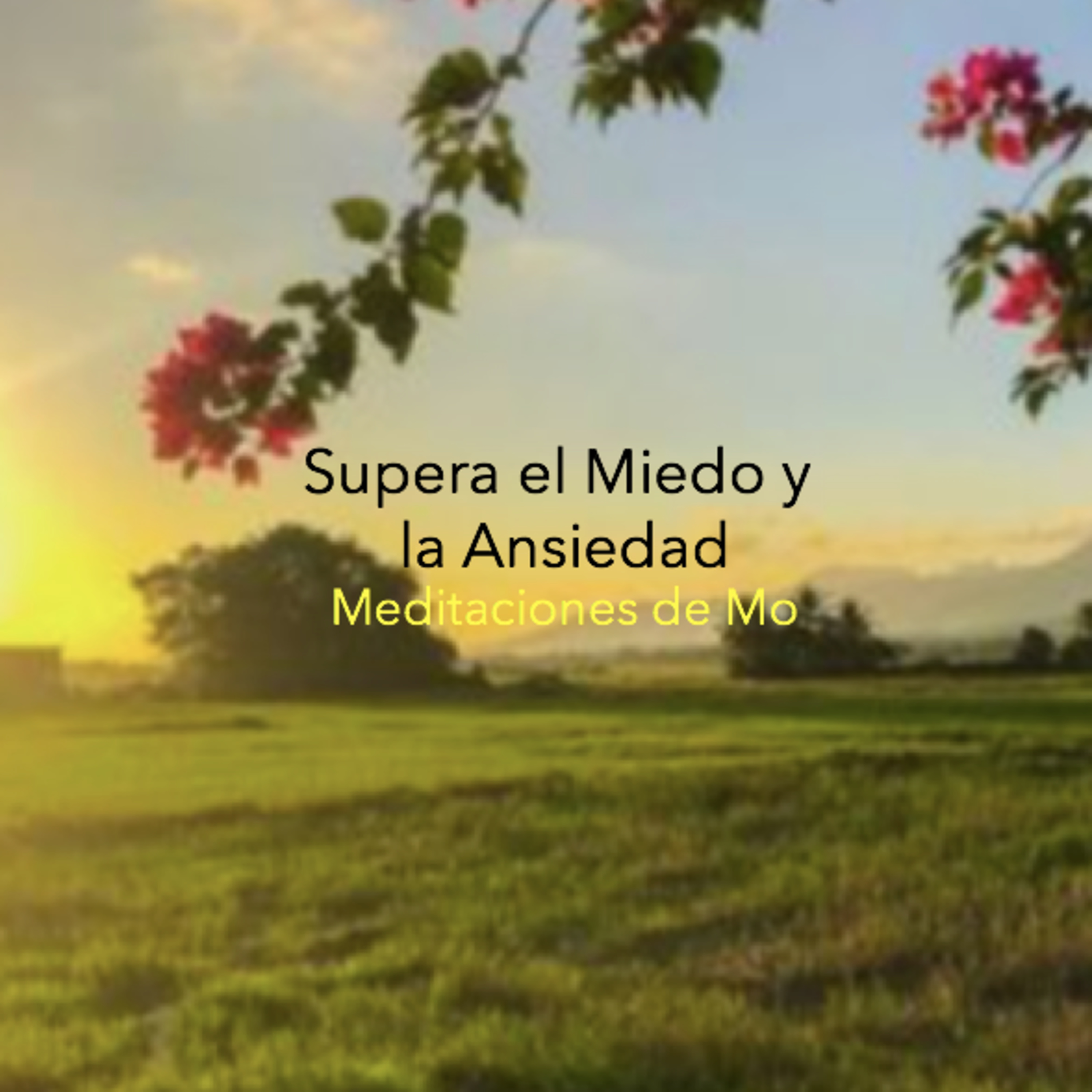 Meditaciones de Mo