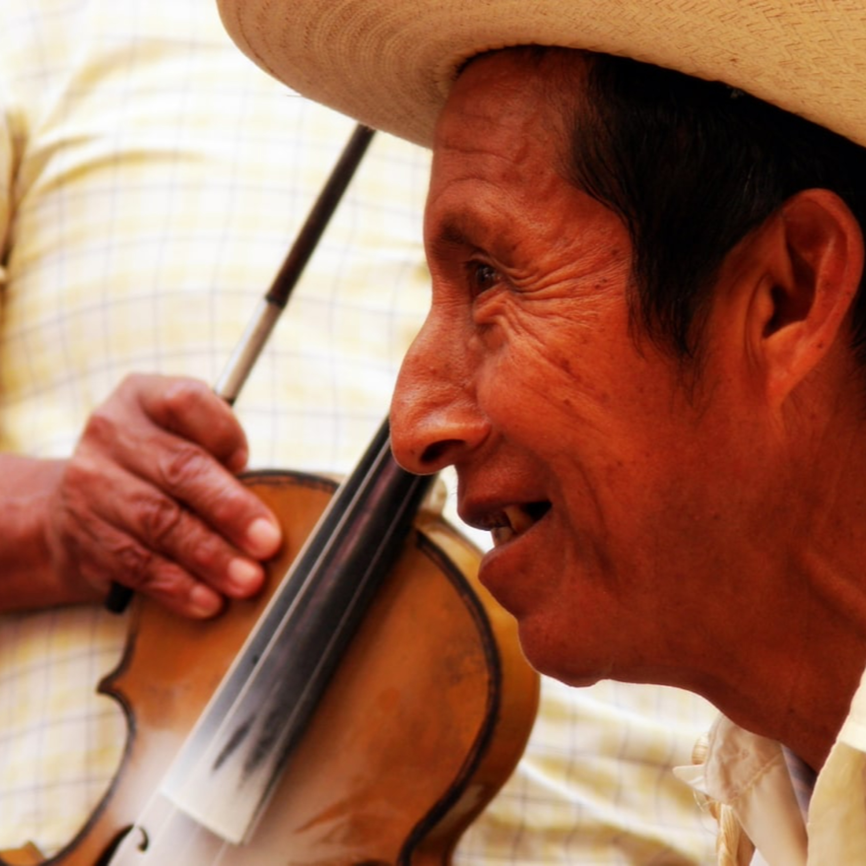 Canto de Cenzontles