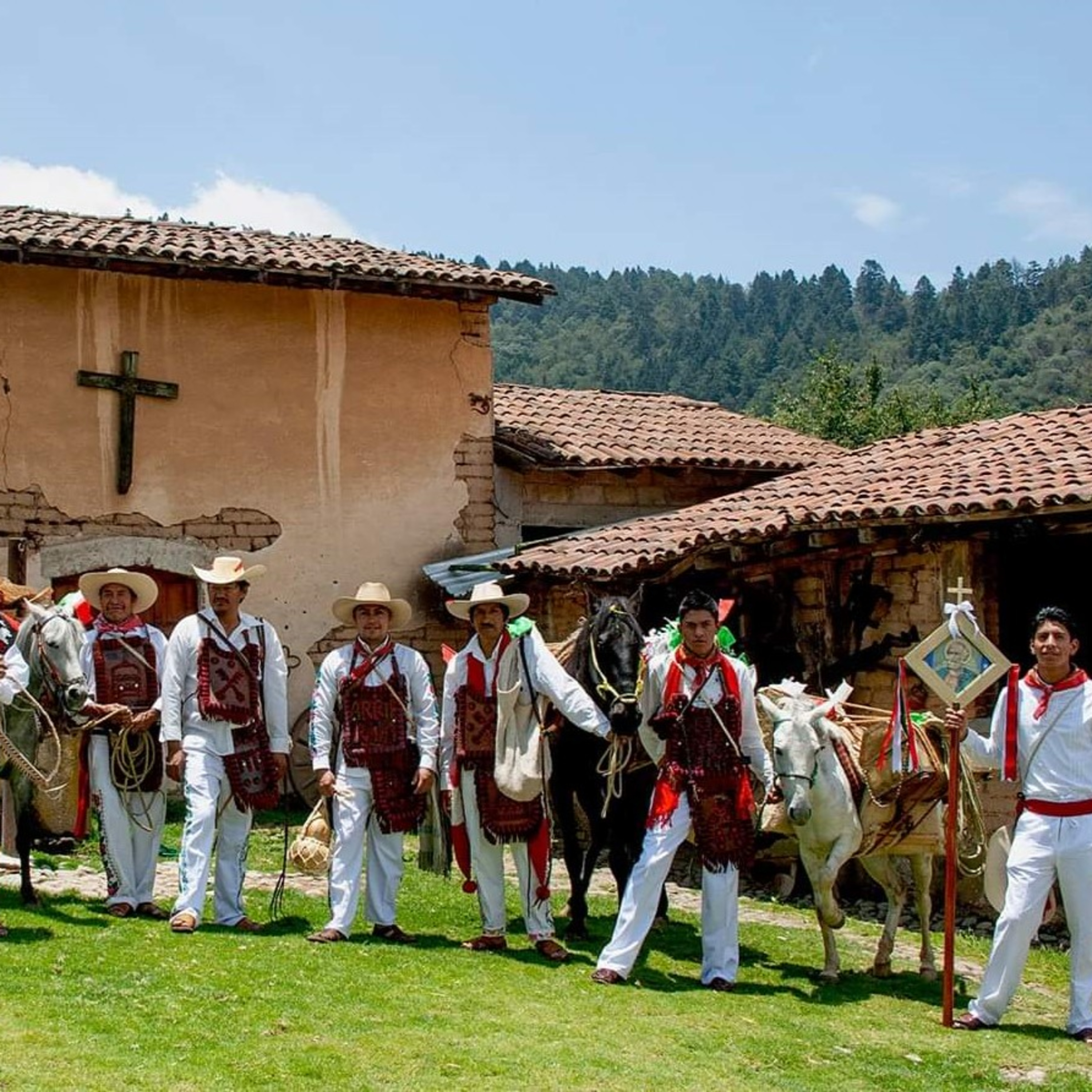 Canto de Cenzontles