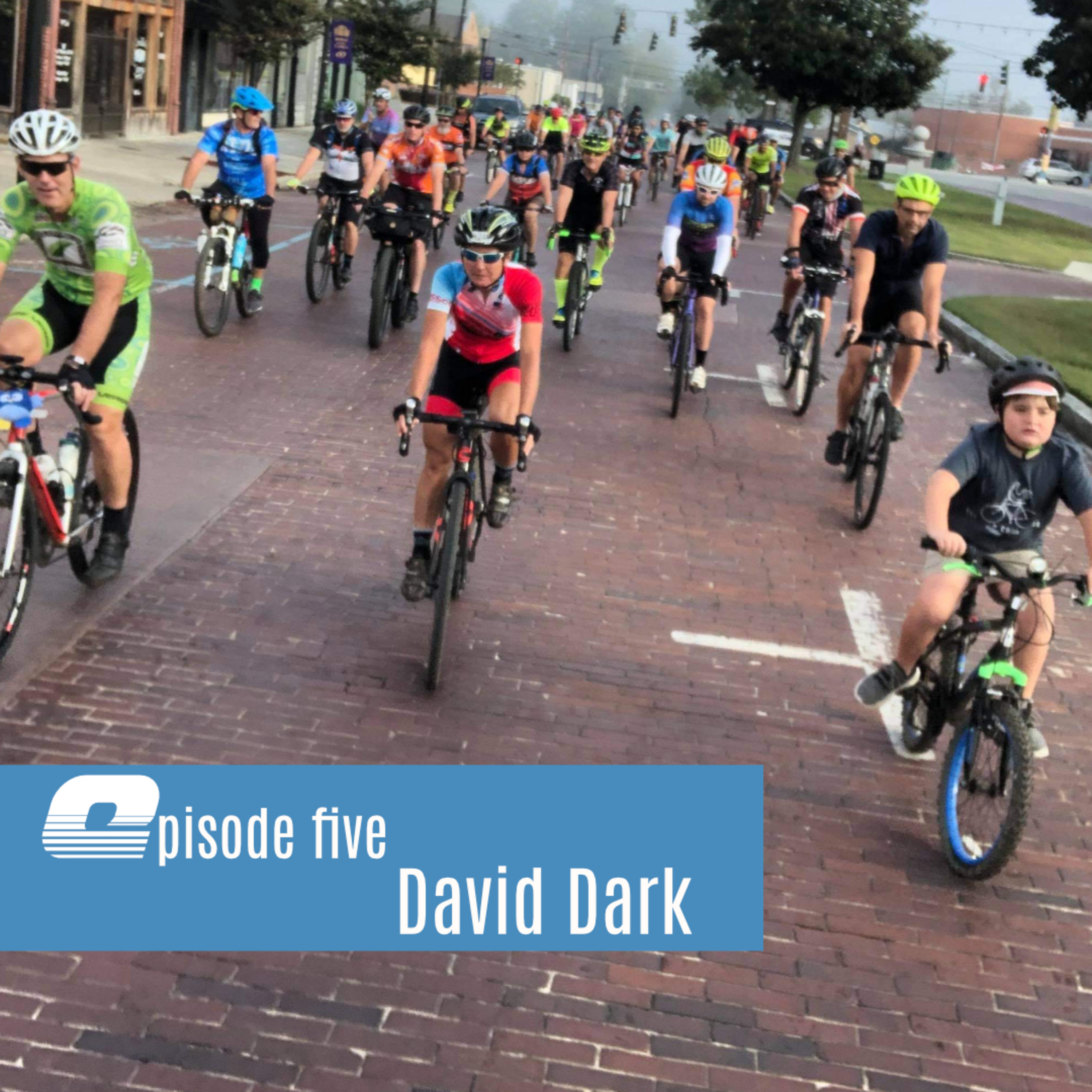 David Dark and the Wild Chicken 100