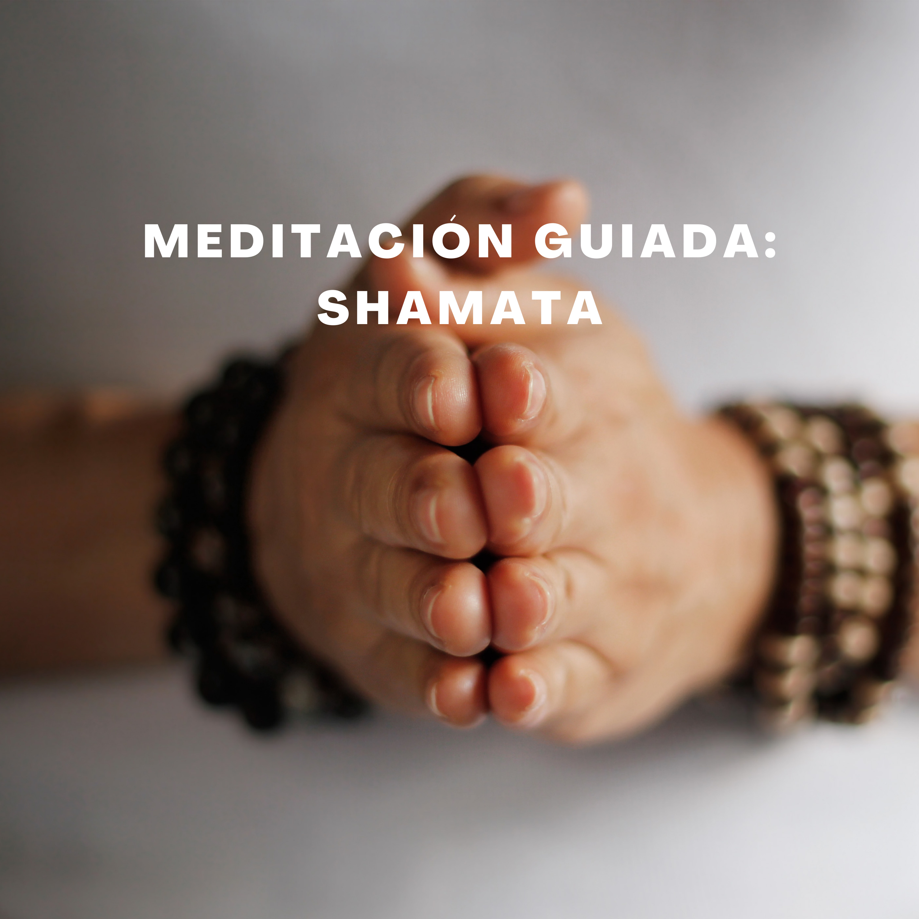 Medita con Salva