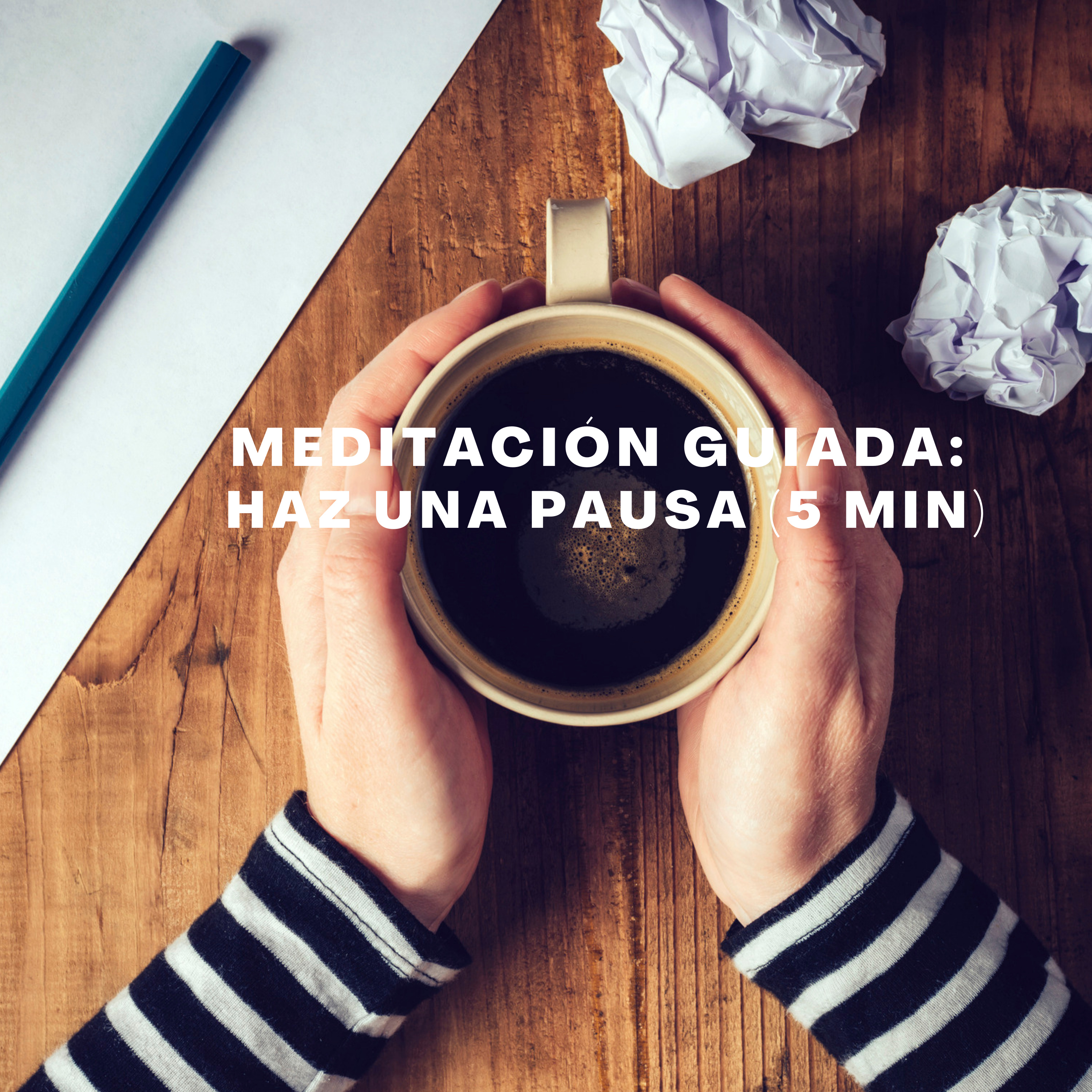 Medita con Salva