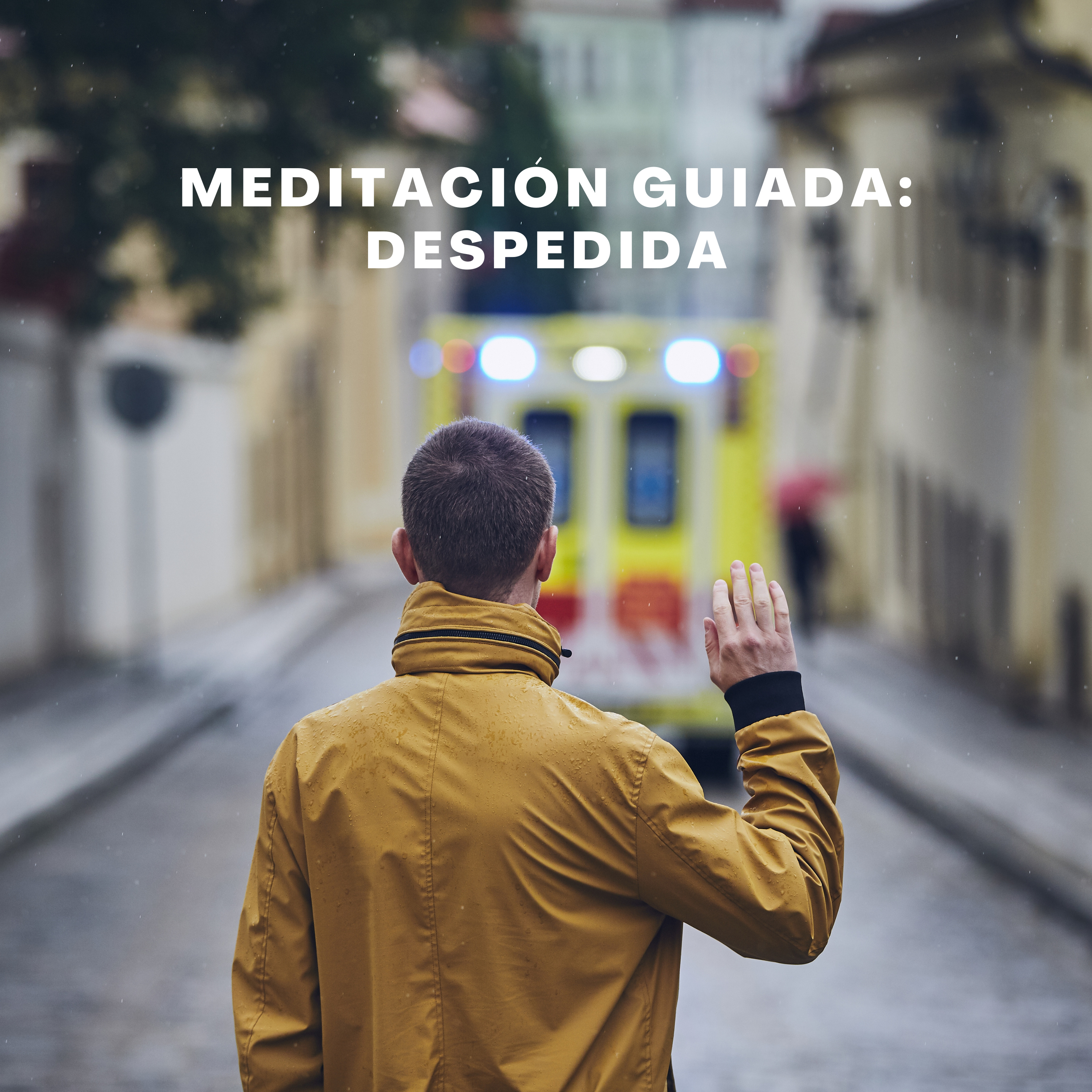 Medita con Salva