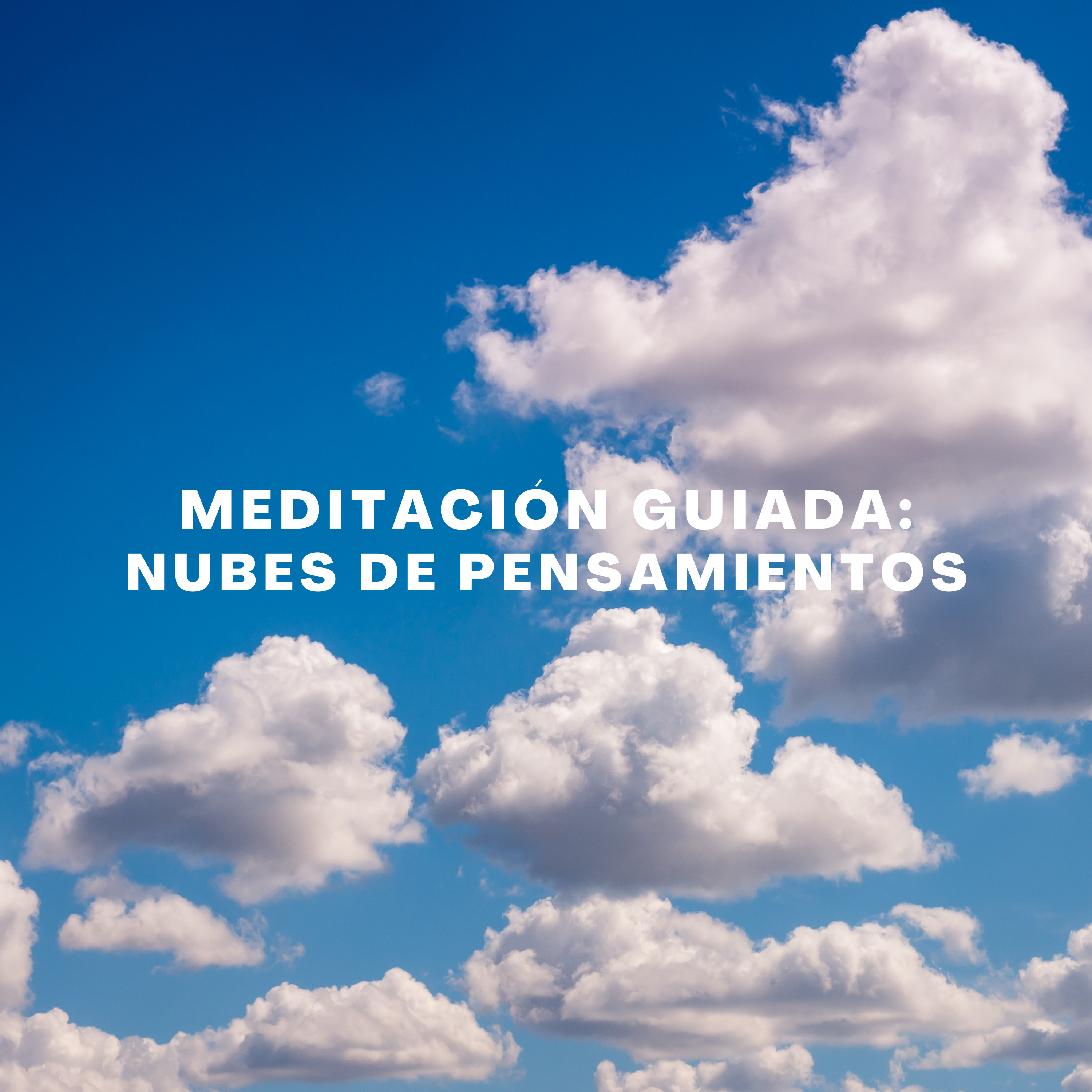 Medita con Salva