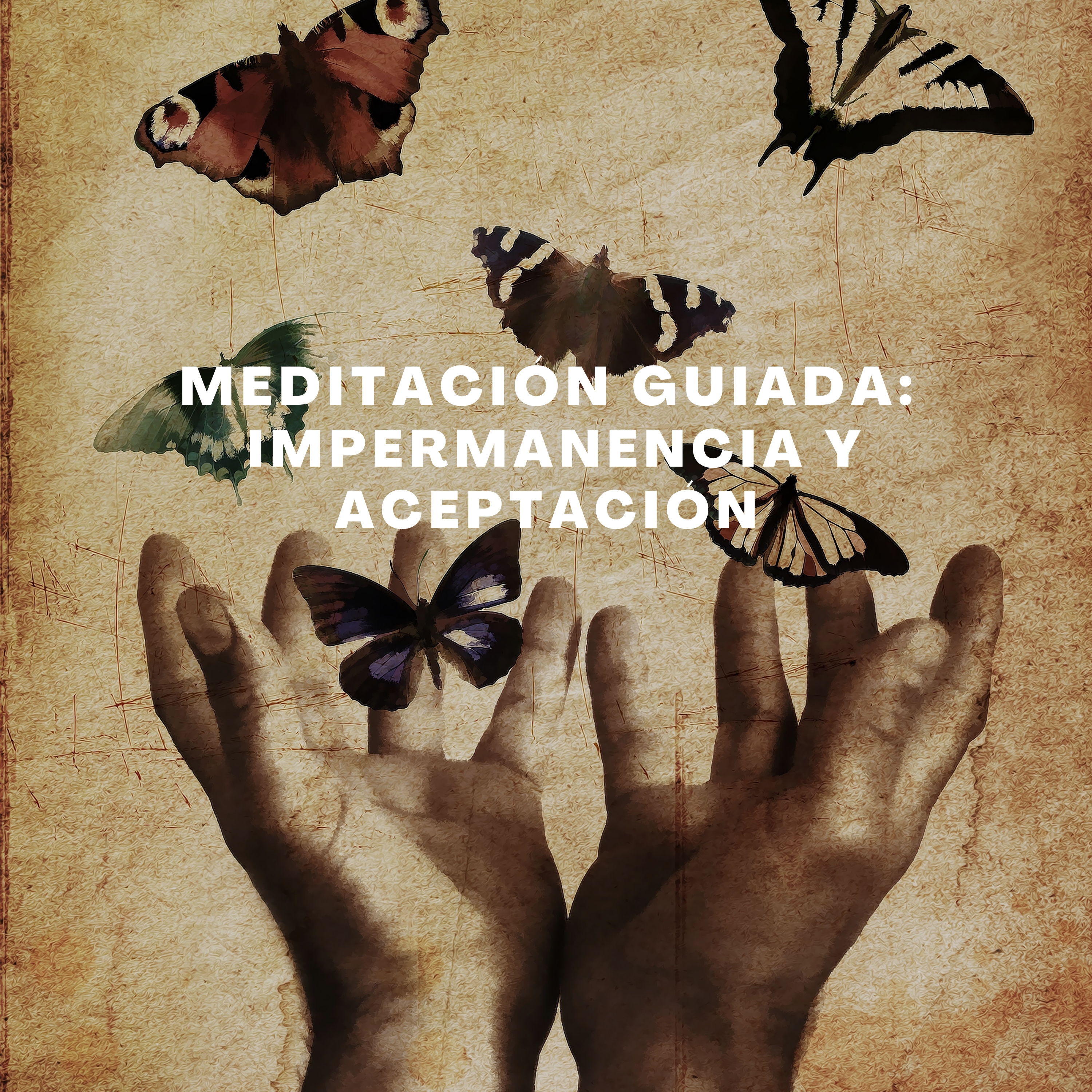 Medita con Salva