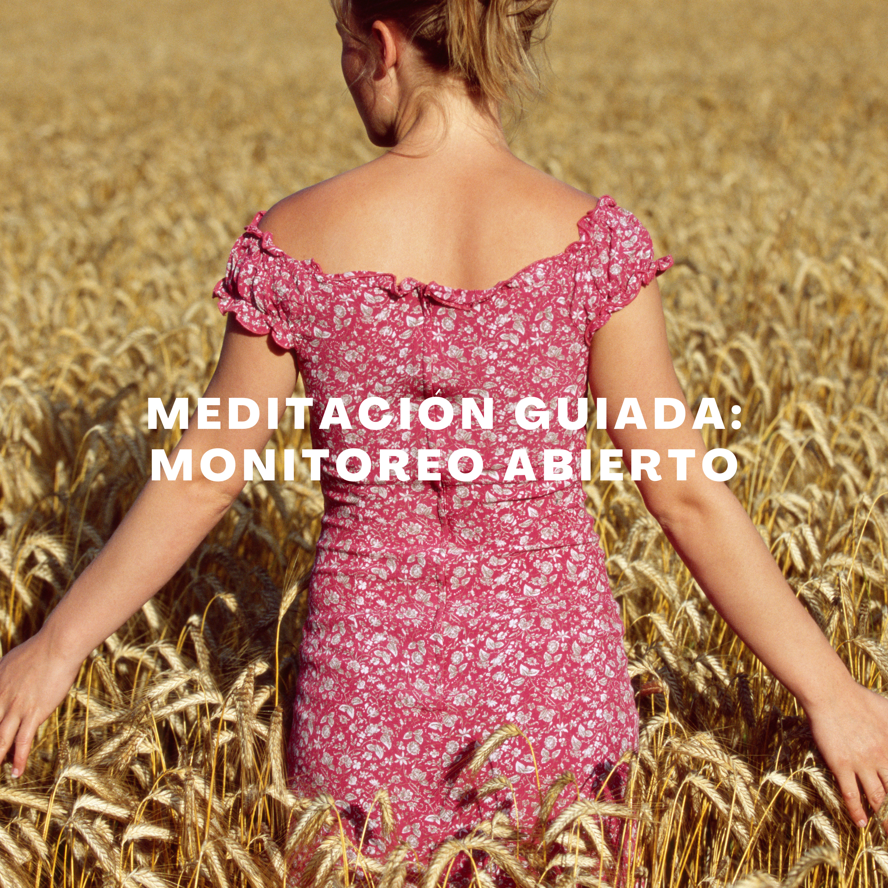 Medita con Salva
