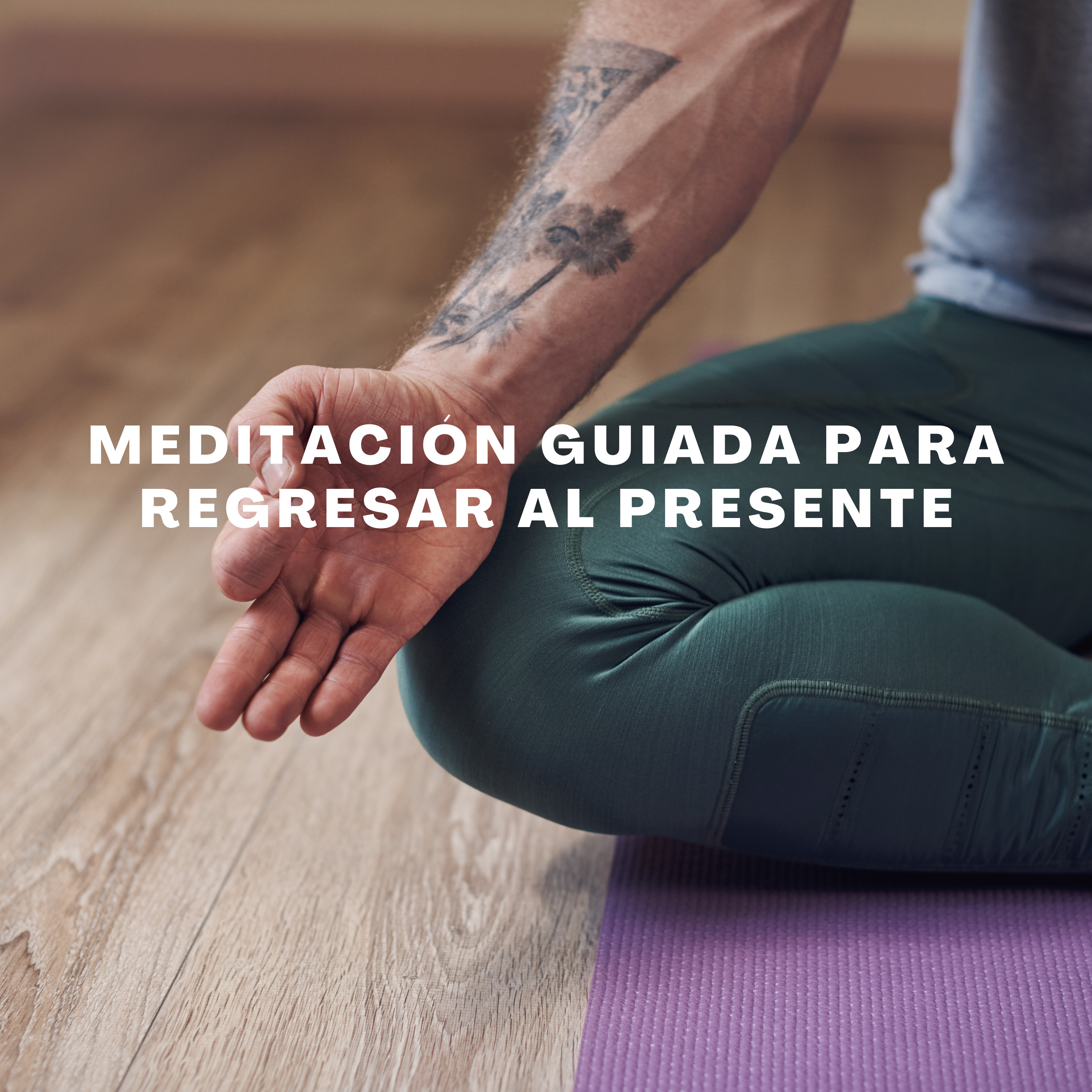 Medita con Salva