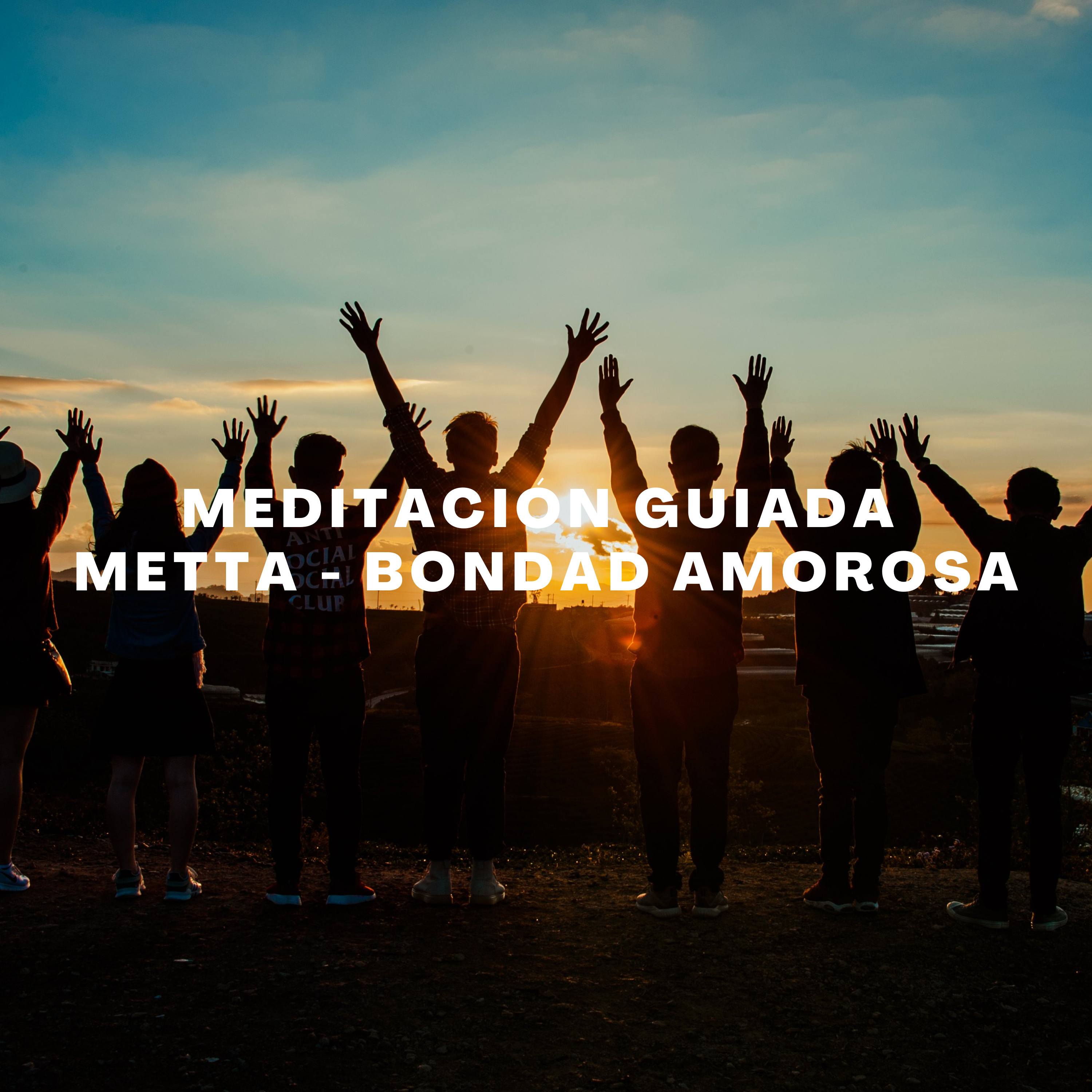Medita con Salva