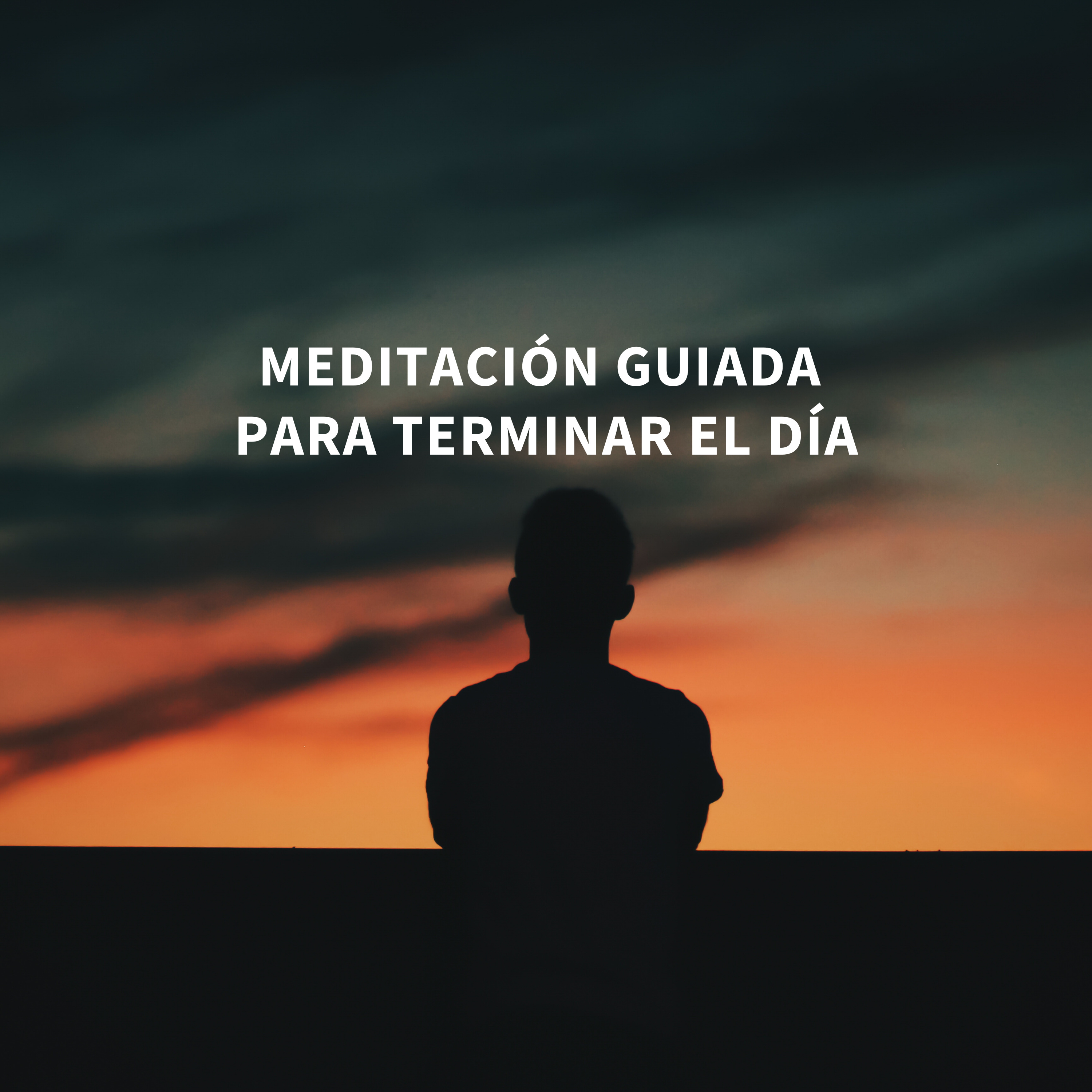 Medita con Salva