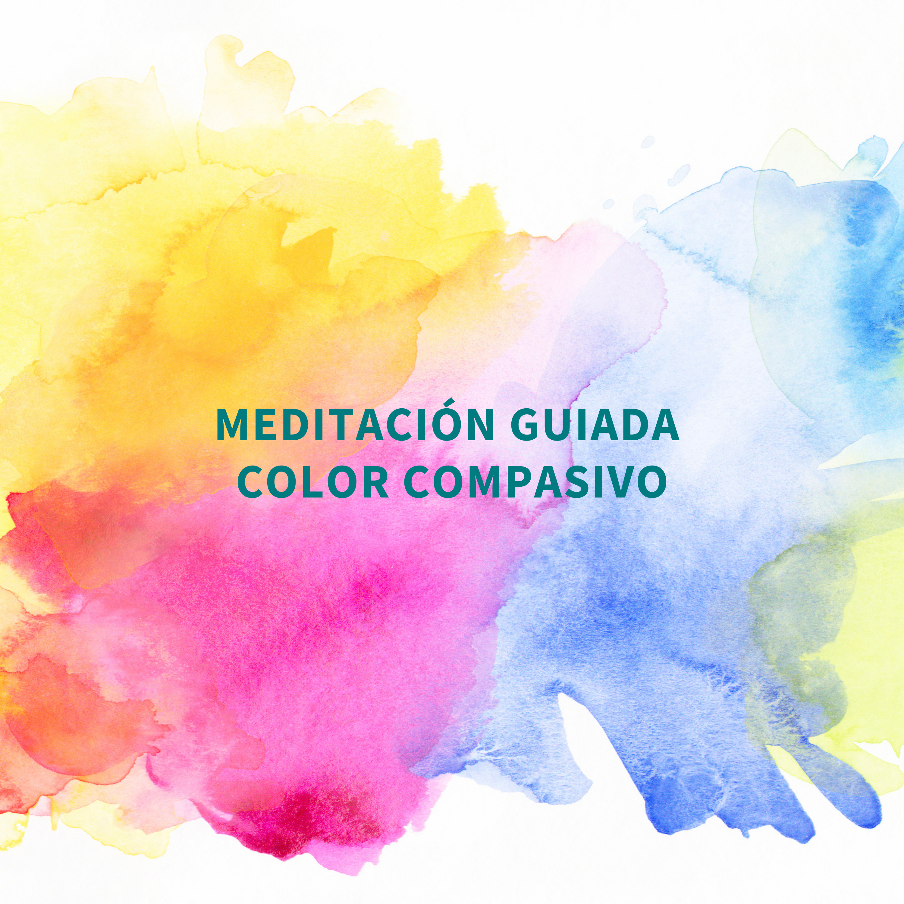 Medita con Salva