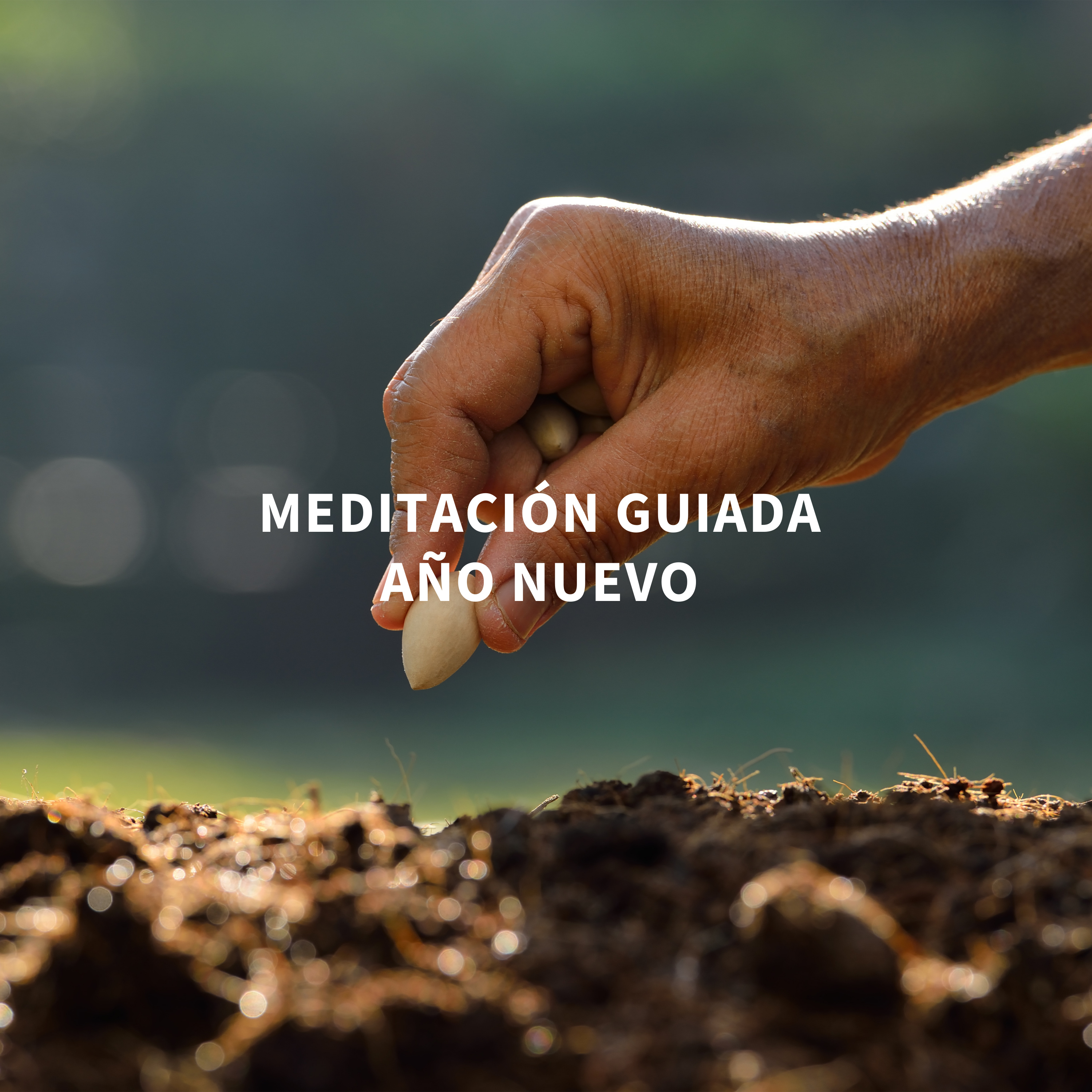 Medita con Salva