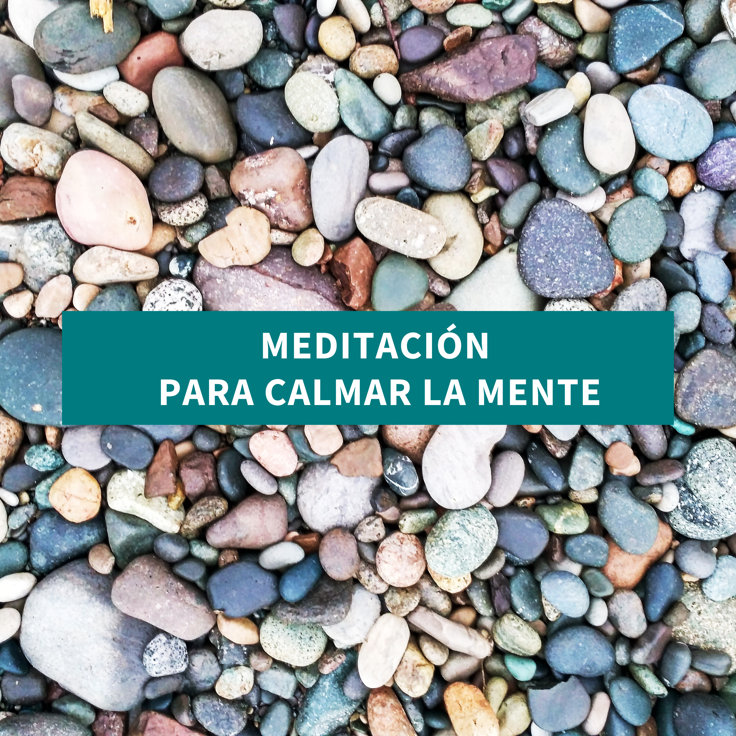Medita con Salva