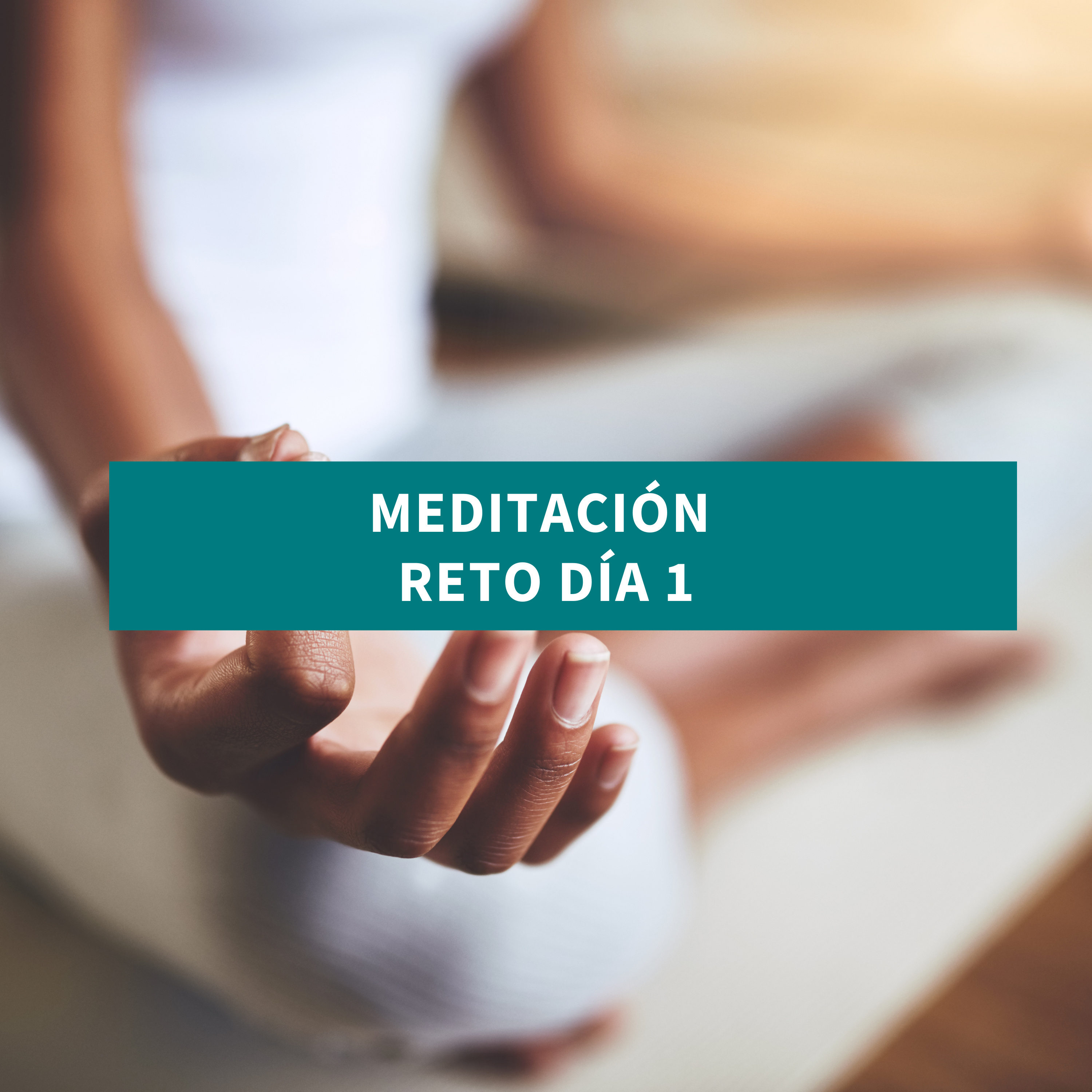 Medita con Salva