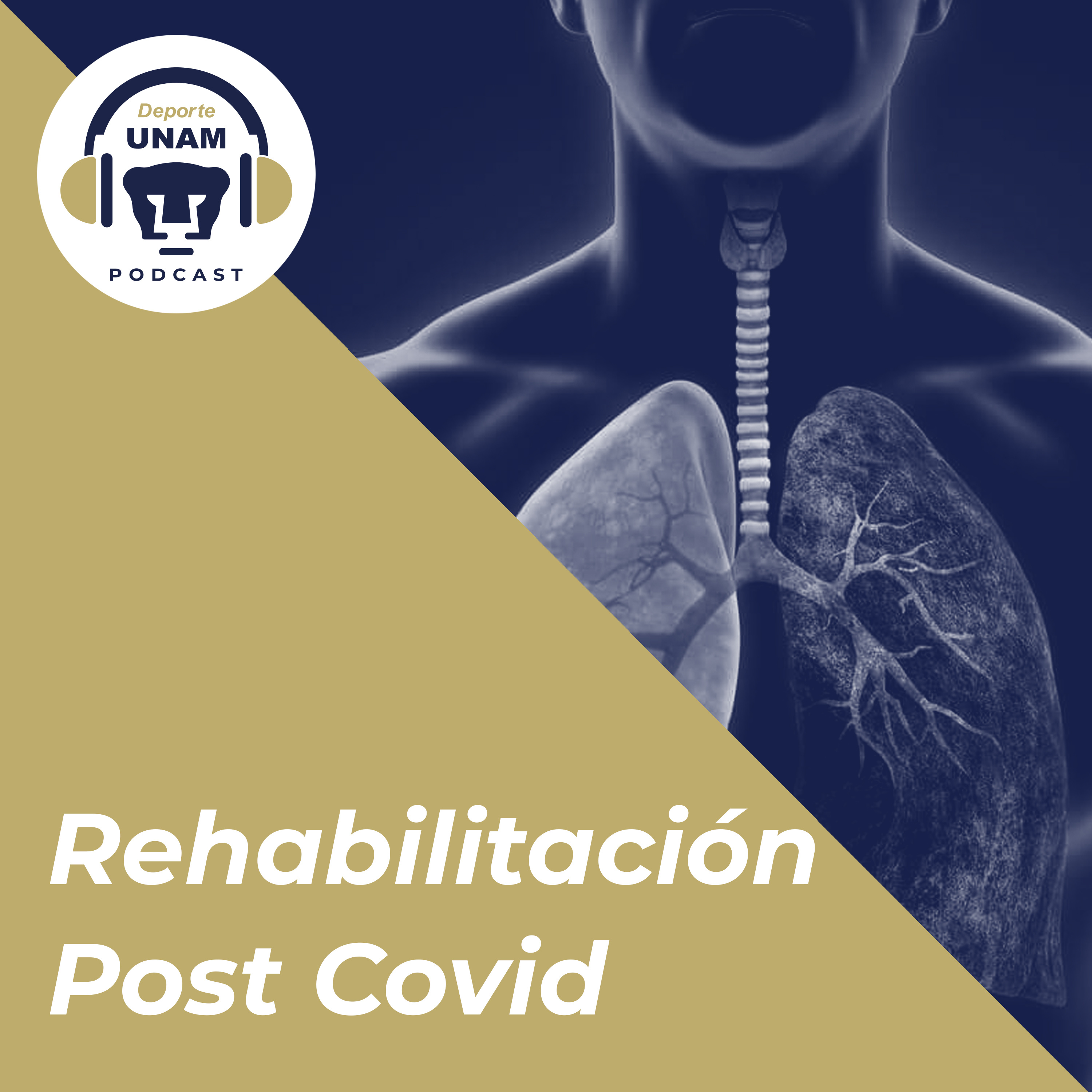 Portada de Deporte UNAM