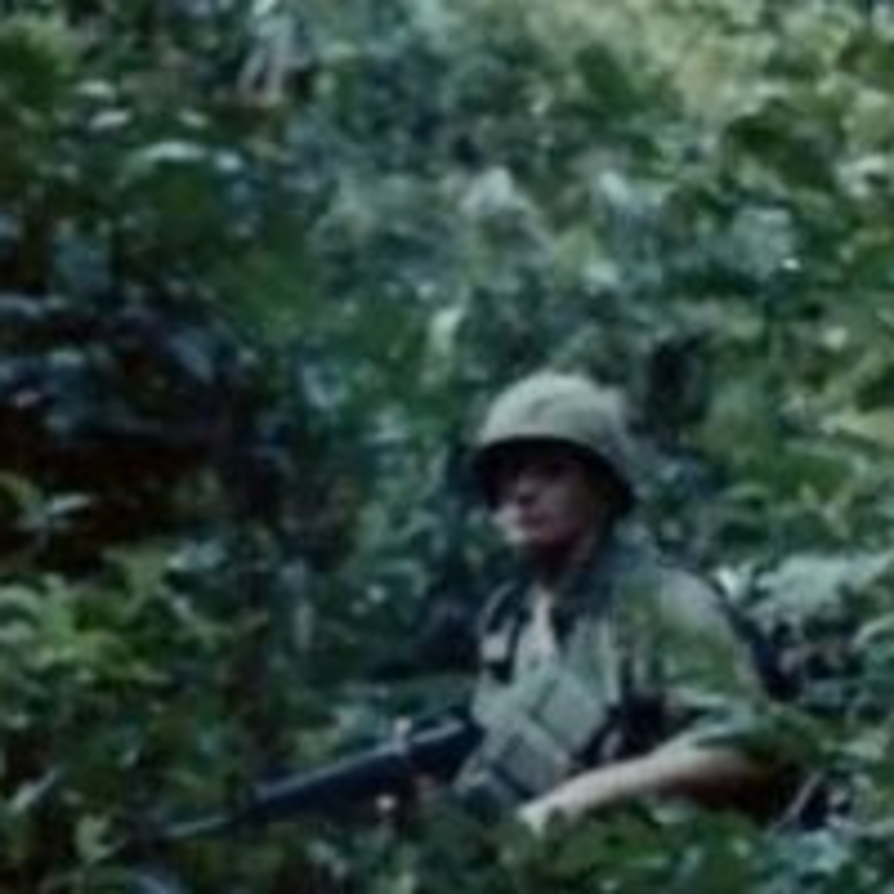 CherriesWriter - Vietnam War website