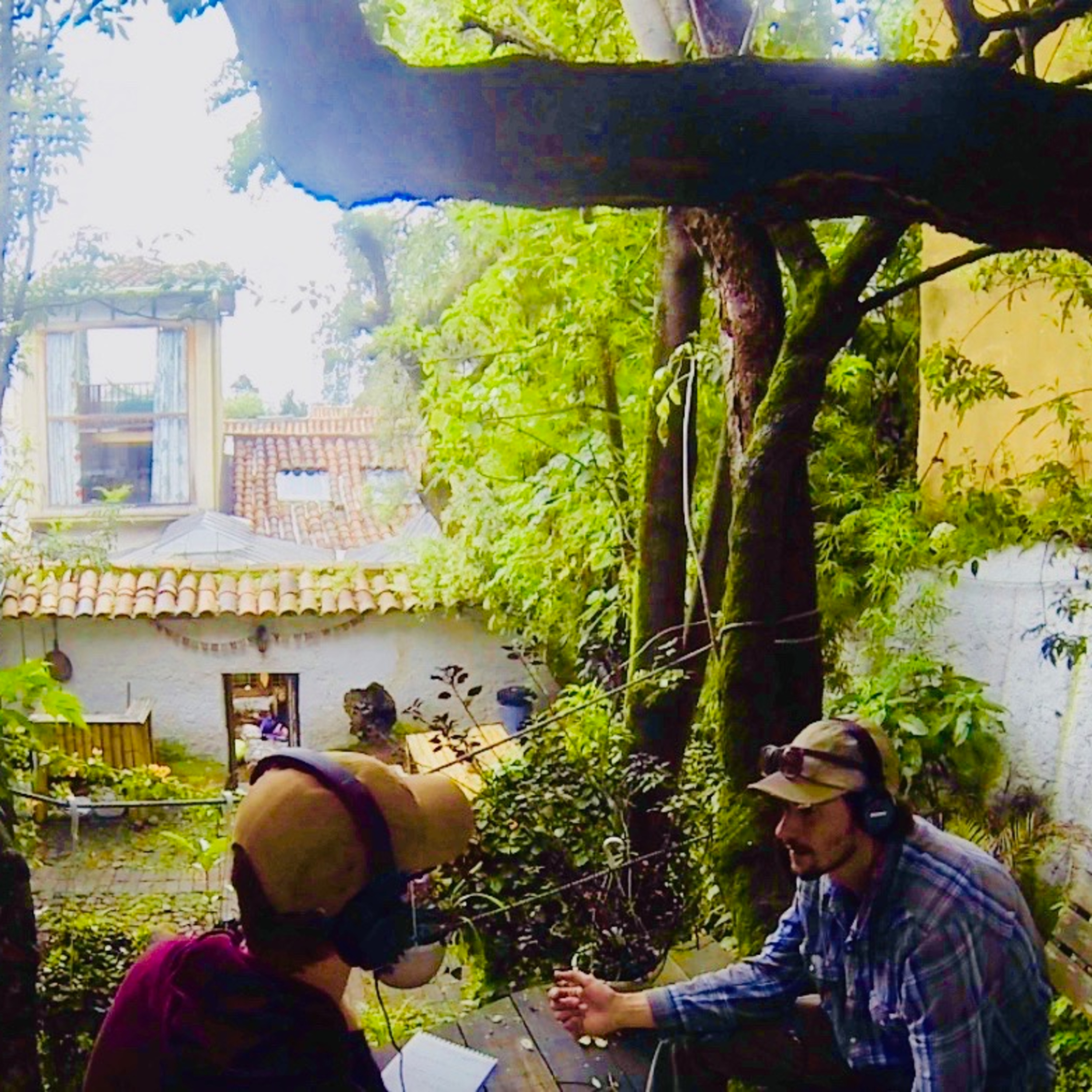 Stories on a Shoestring