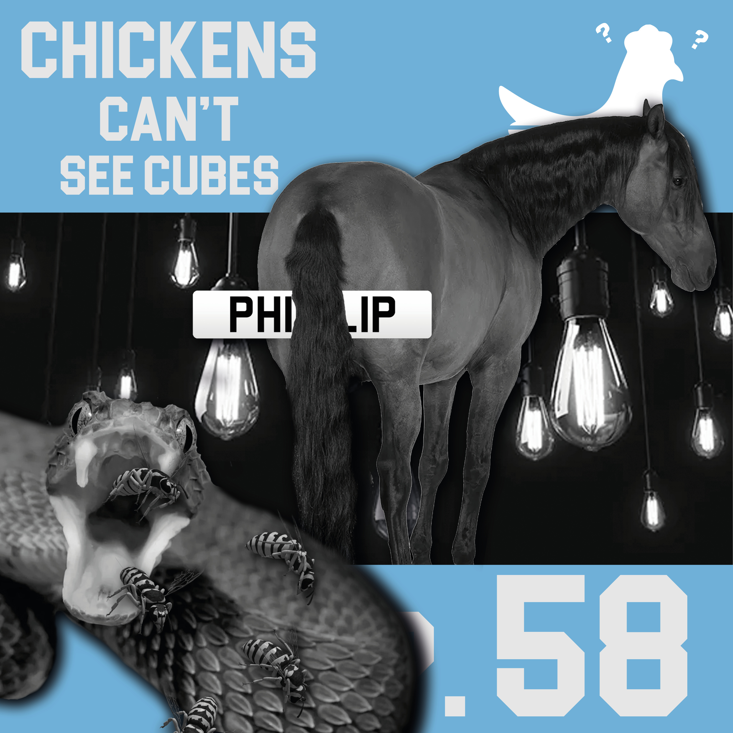 Chickens Can\'t See Cubes