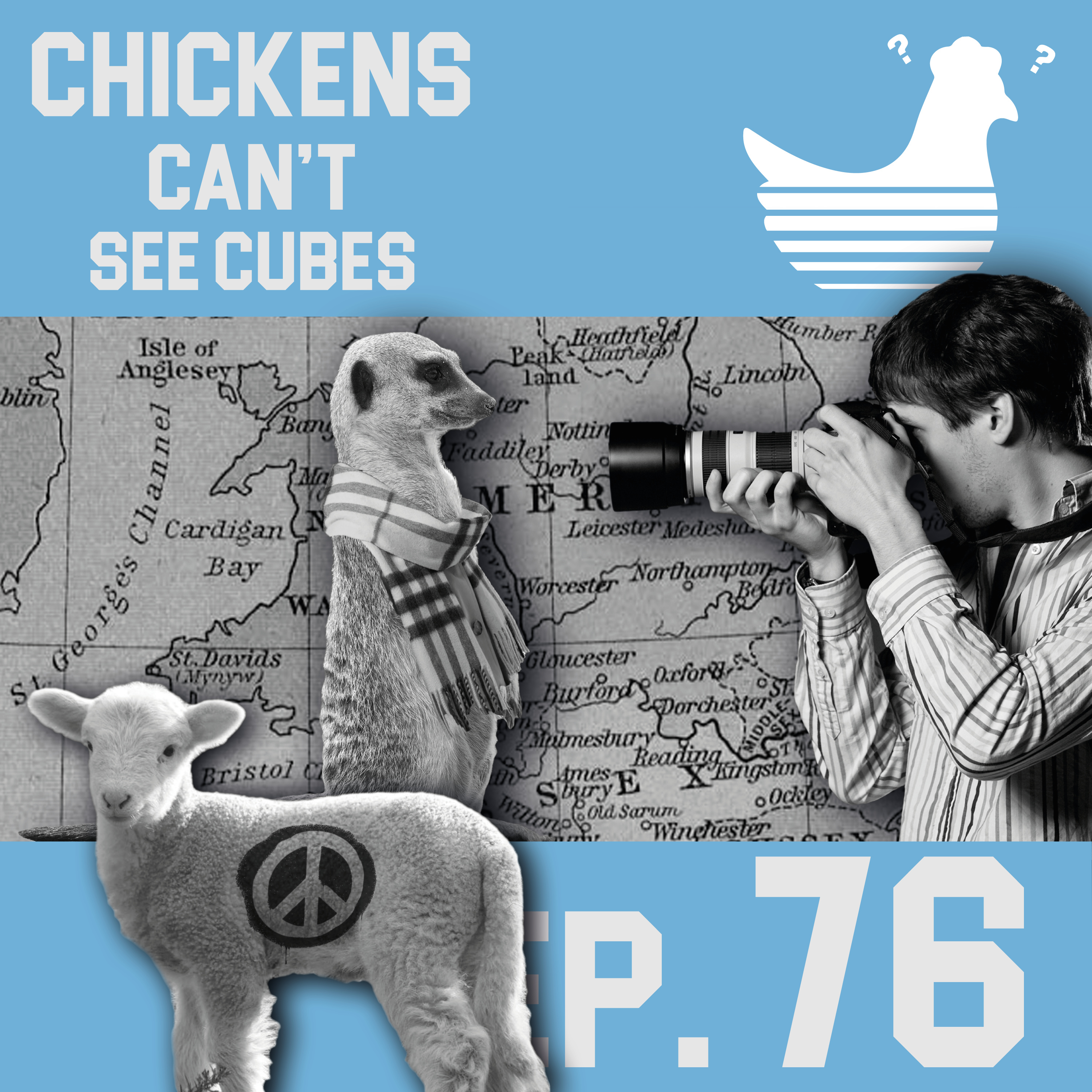 Chickens Can\'t See Cubes