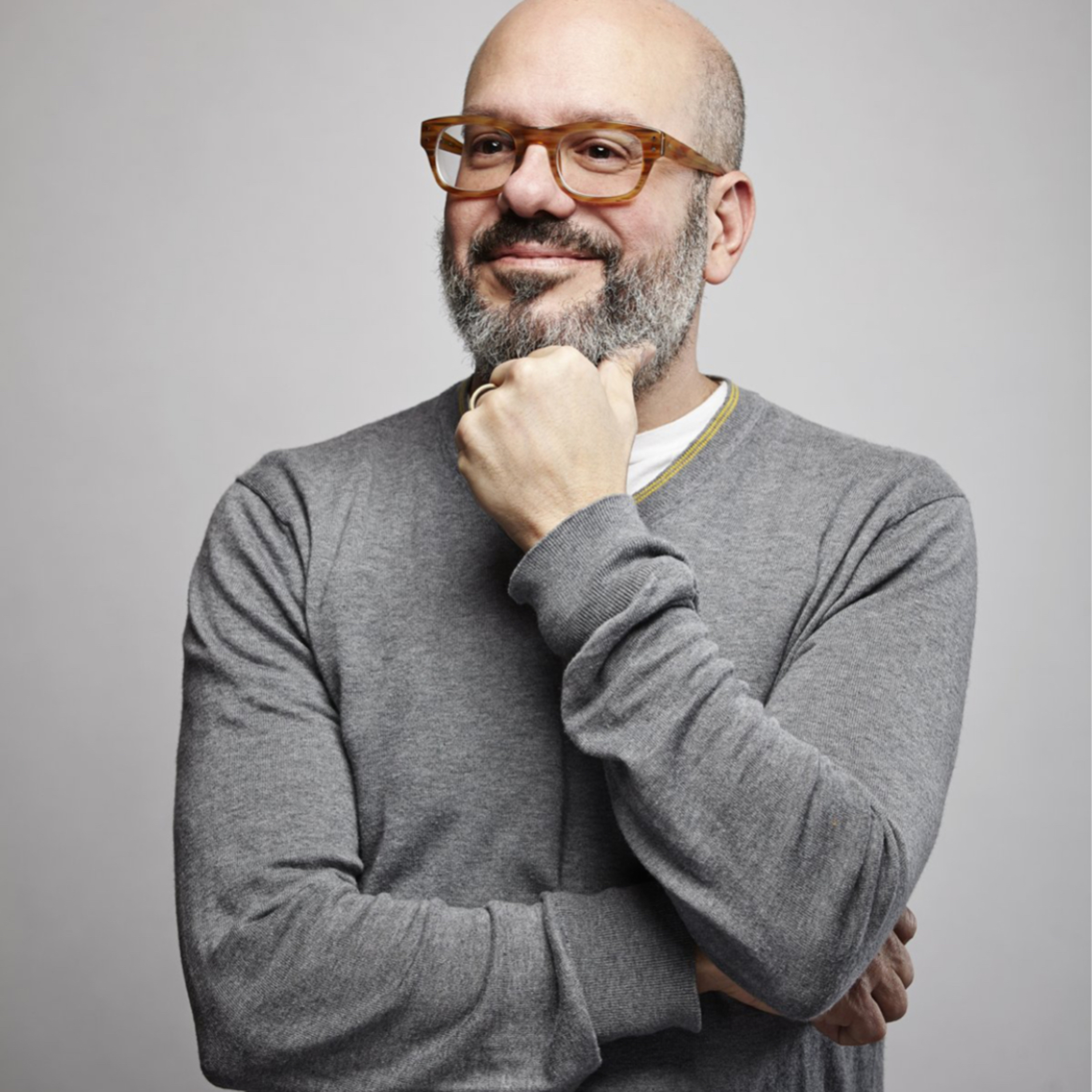 David Cross episode artwork