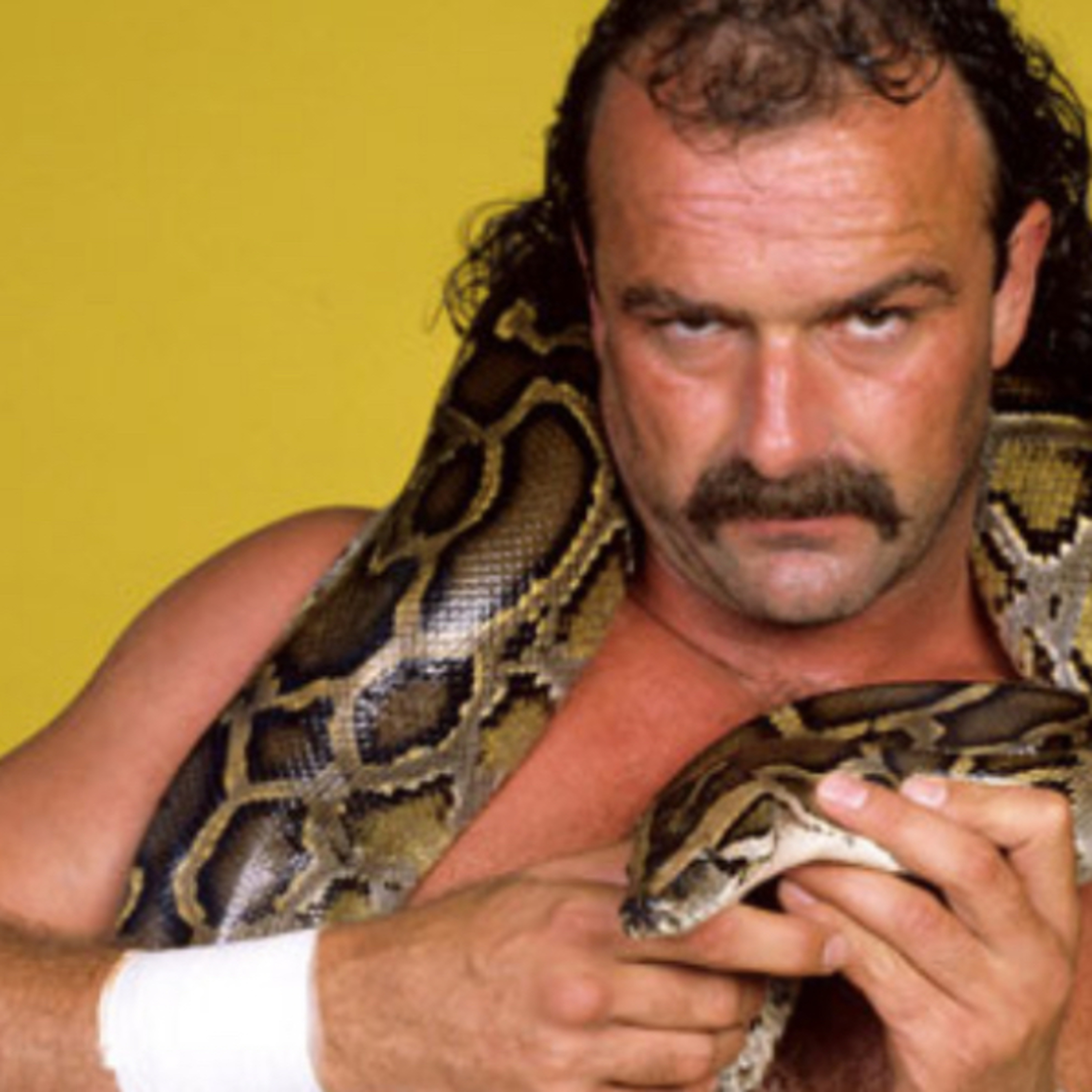 Jake The Snake episode artwork
