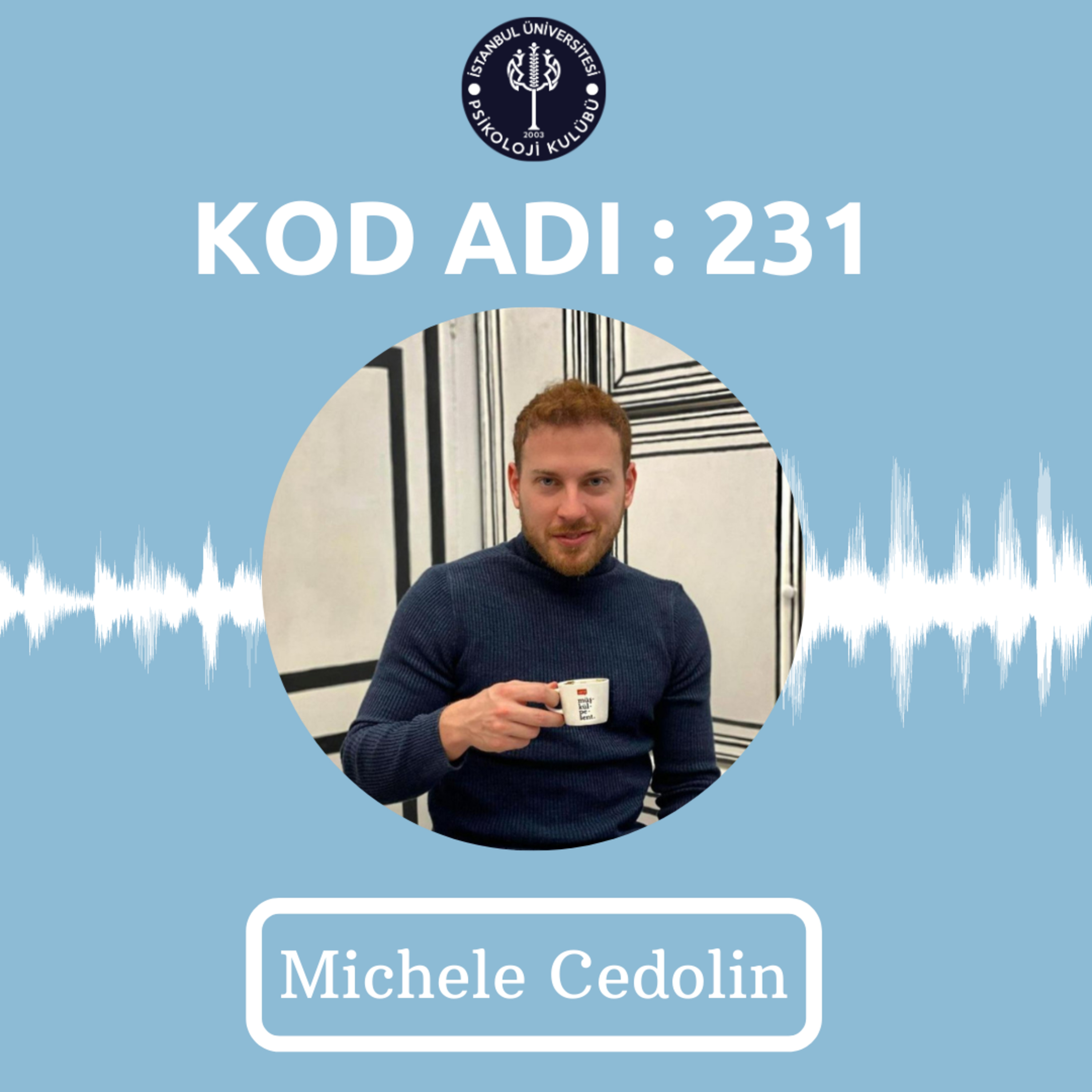 KOD ADI: 231
