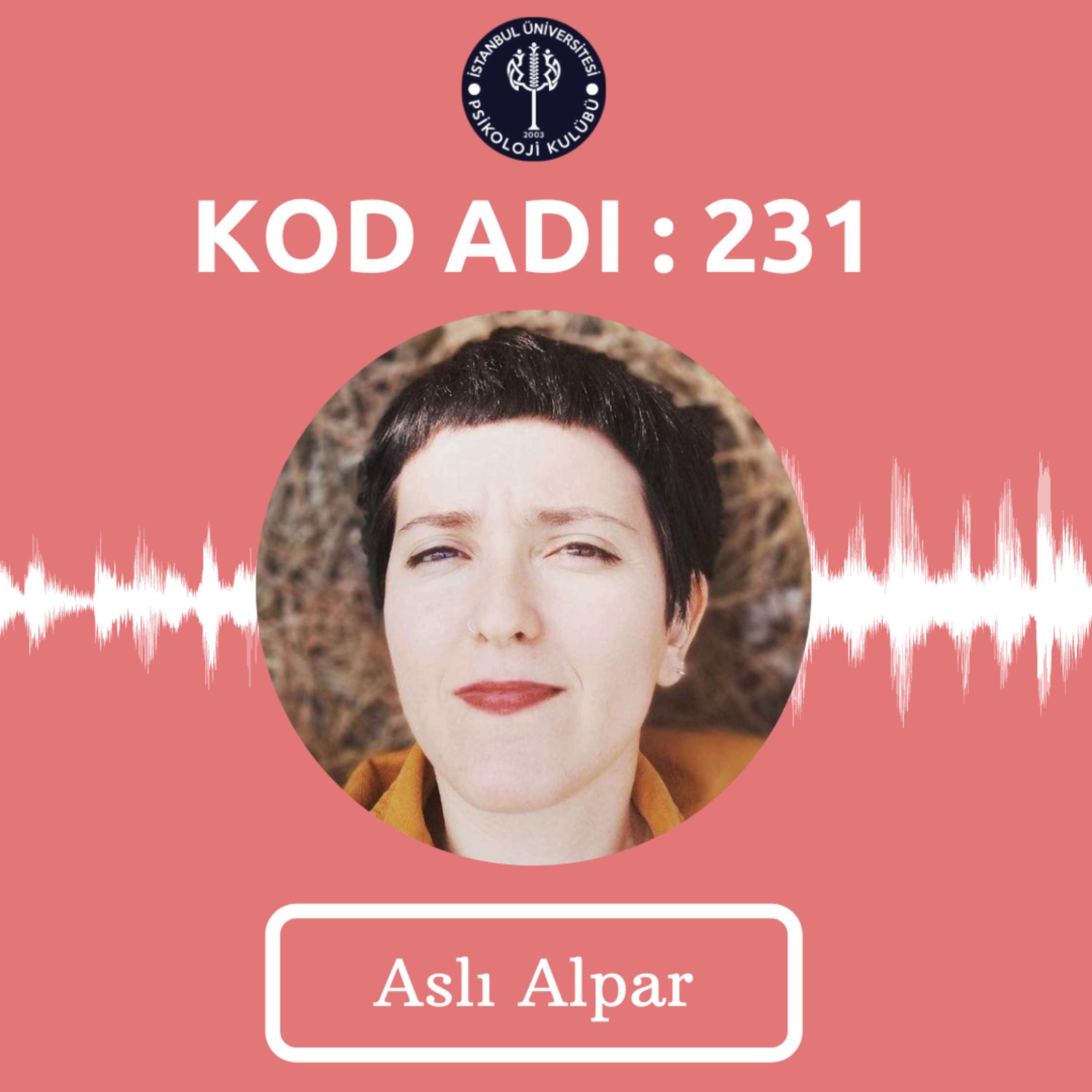 KOD ADI: 231
