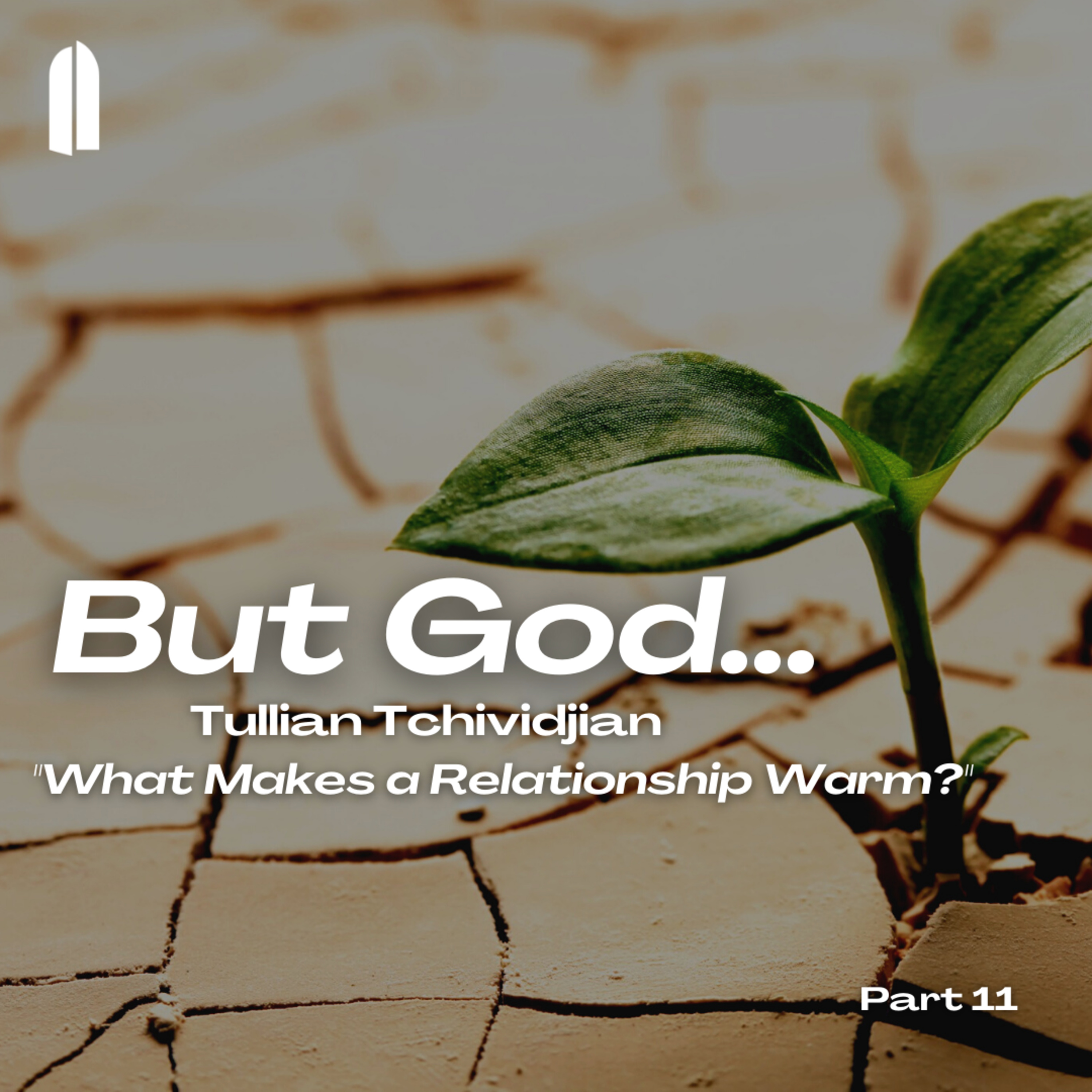 But God... Part 11 | "What Makes a Relationship Warm?" | Tullian Tchividjian episode artwork