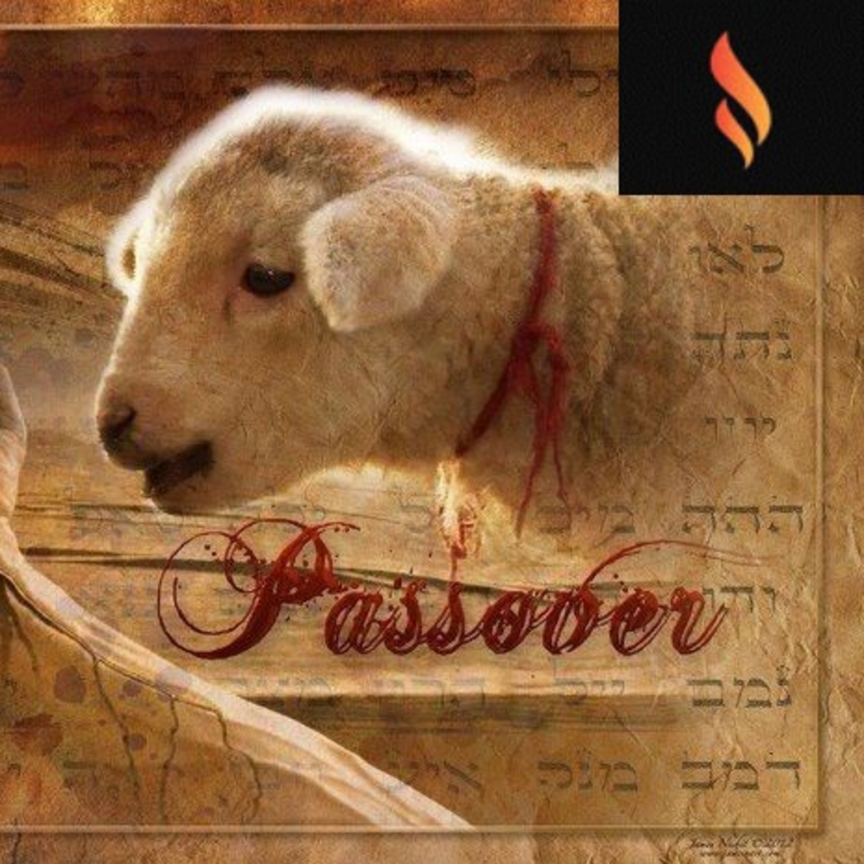 Proverbs 3:21-26 Common Sense, Passover Plagues ? episode artwork