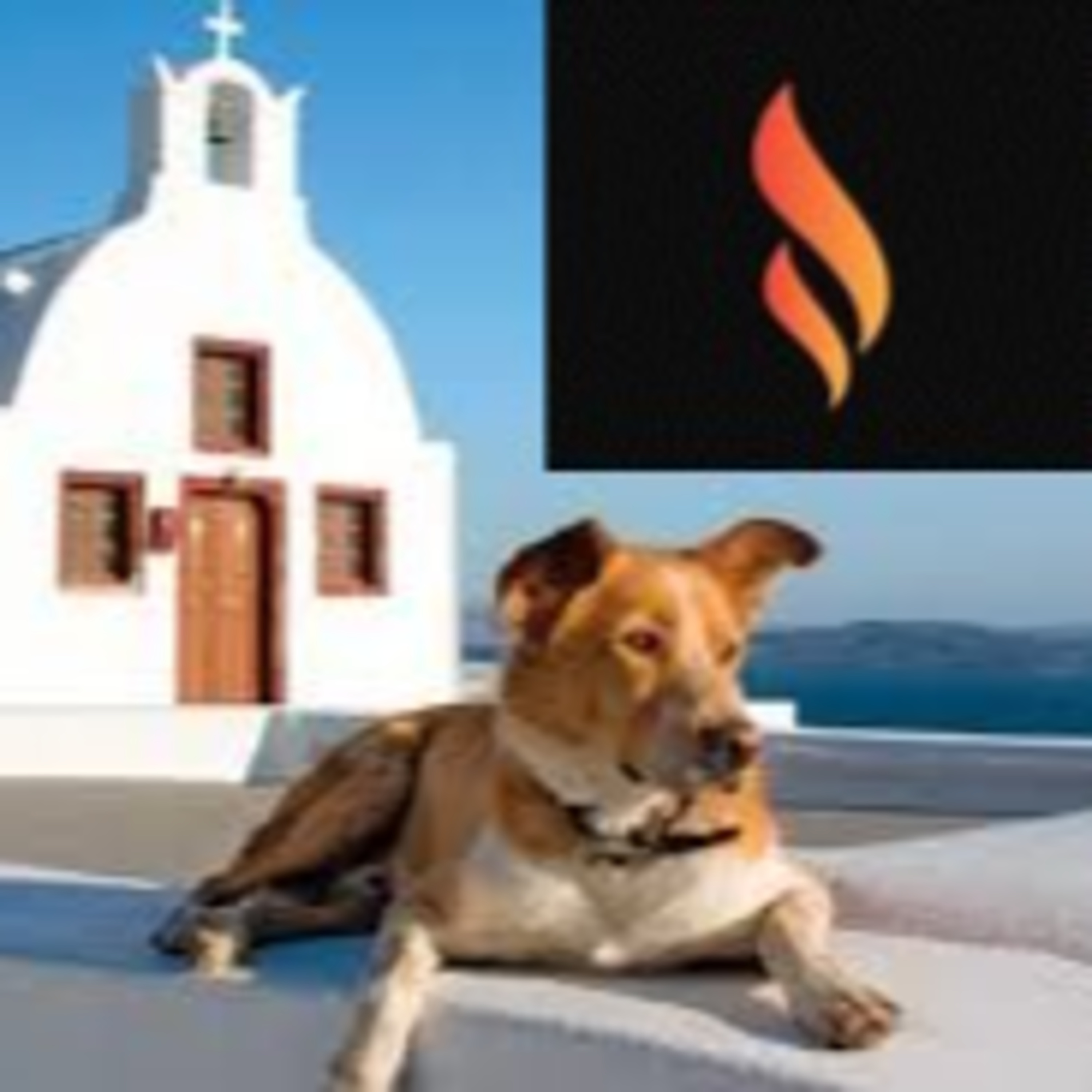 Psalm 22:16 The Church of Dogs episode artwork
