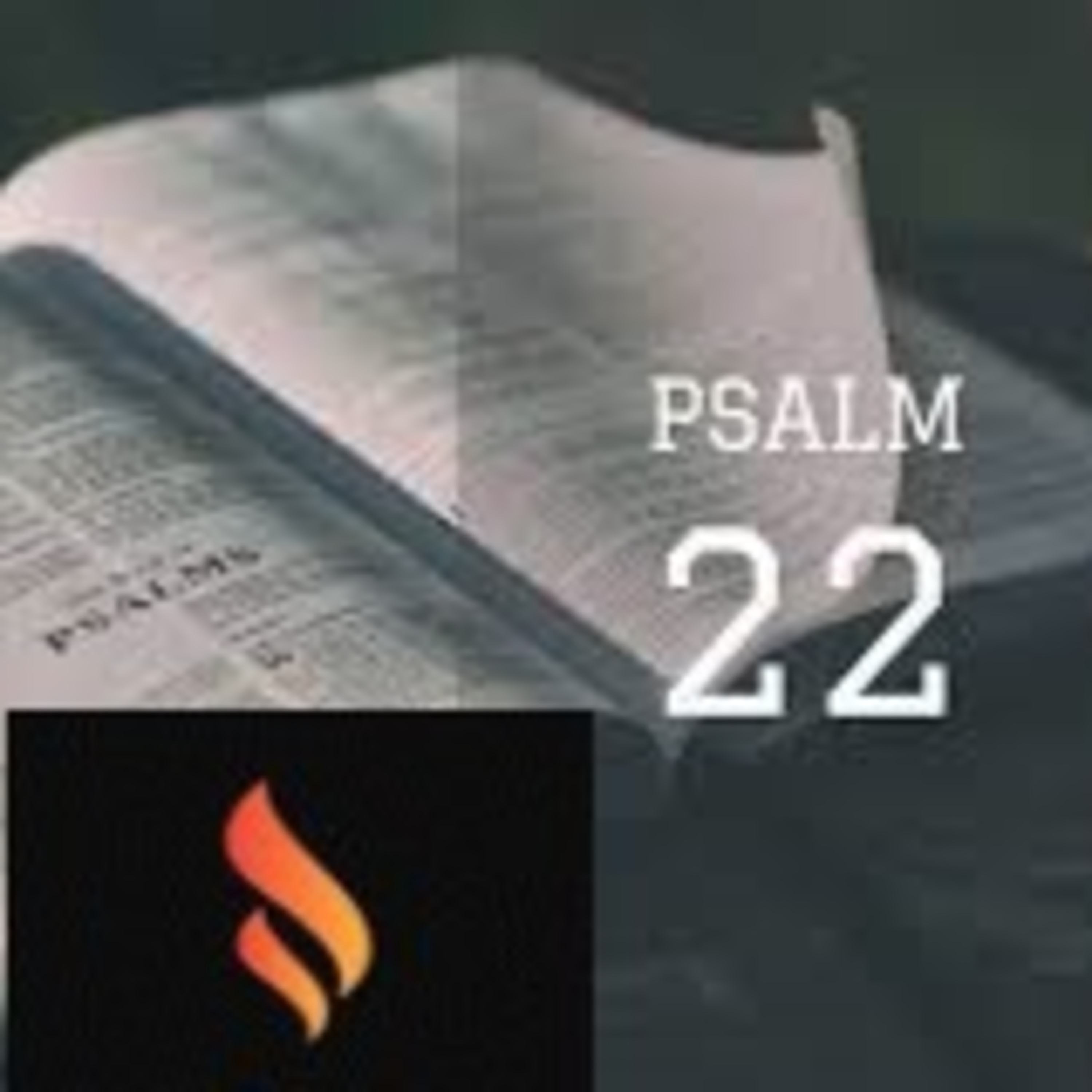 Psalm 22:11 My Help Comes From the Lord episode artwork