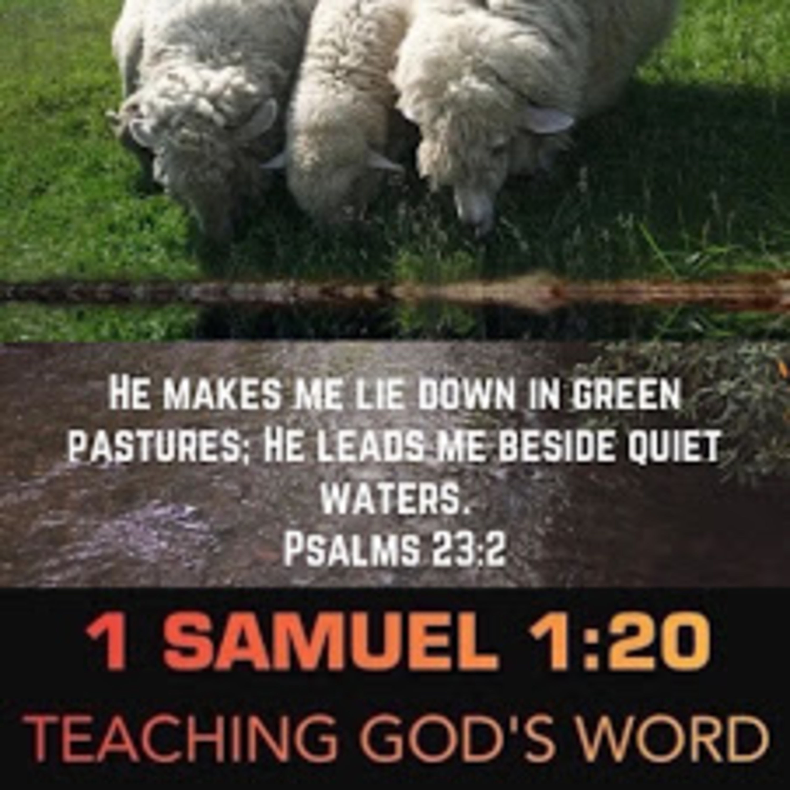 Psalm 23:2 Blessed Shepherd Lead Us To Fullness episode artwork