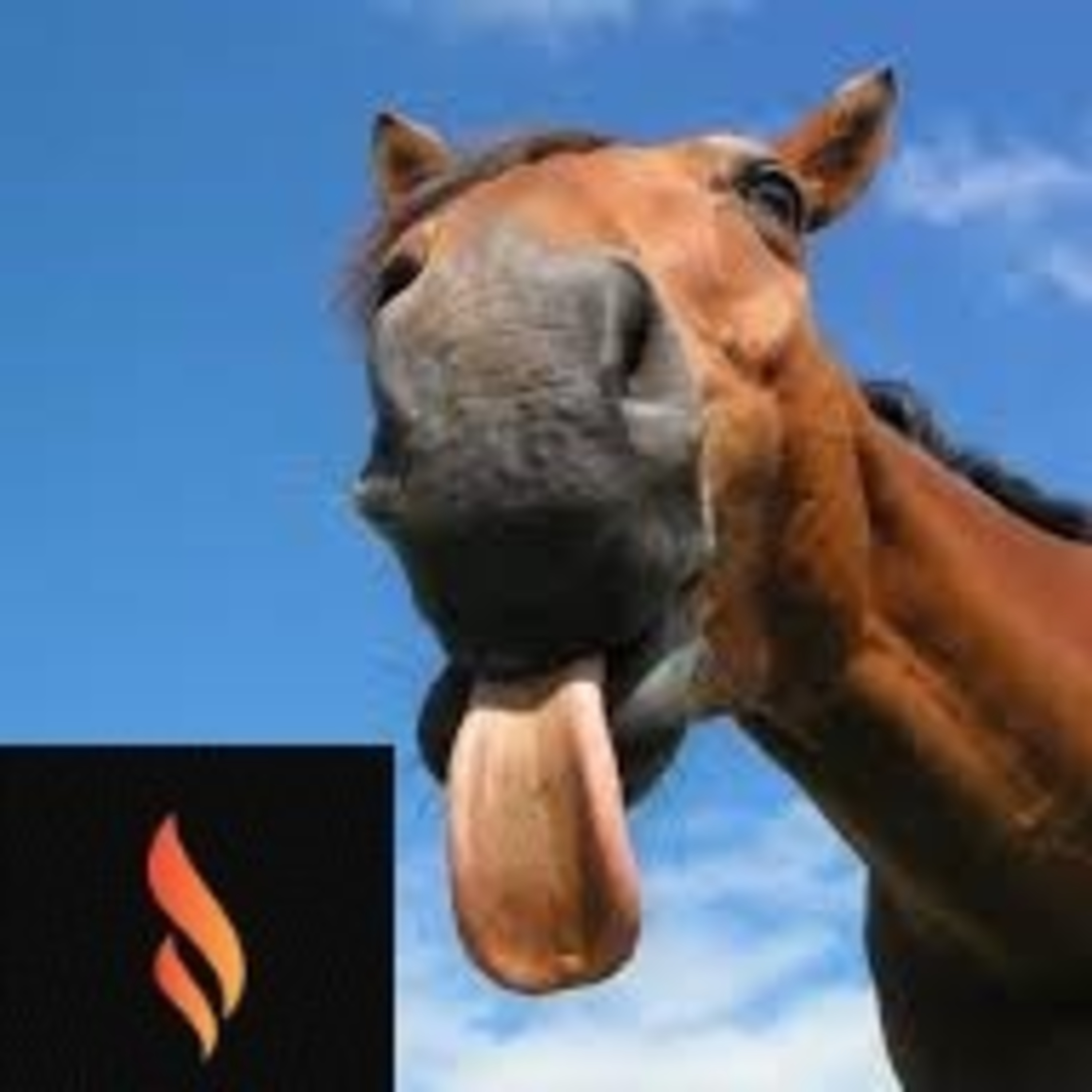 James 3:3 My Tongue Stumbles Like A Wild Horse episode artwork